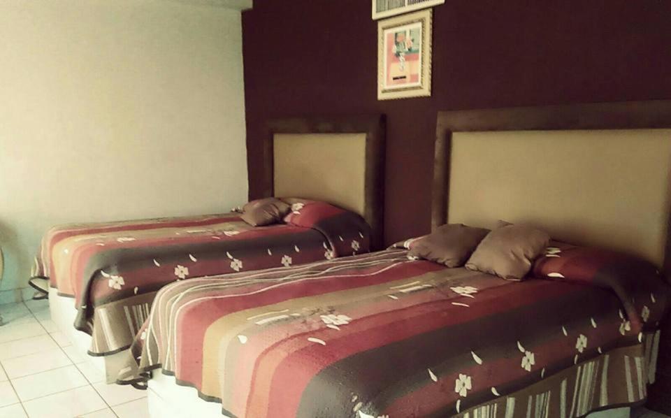 Triple Room - Photo 6