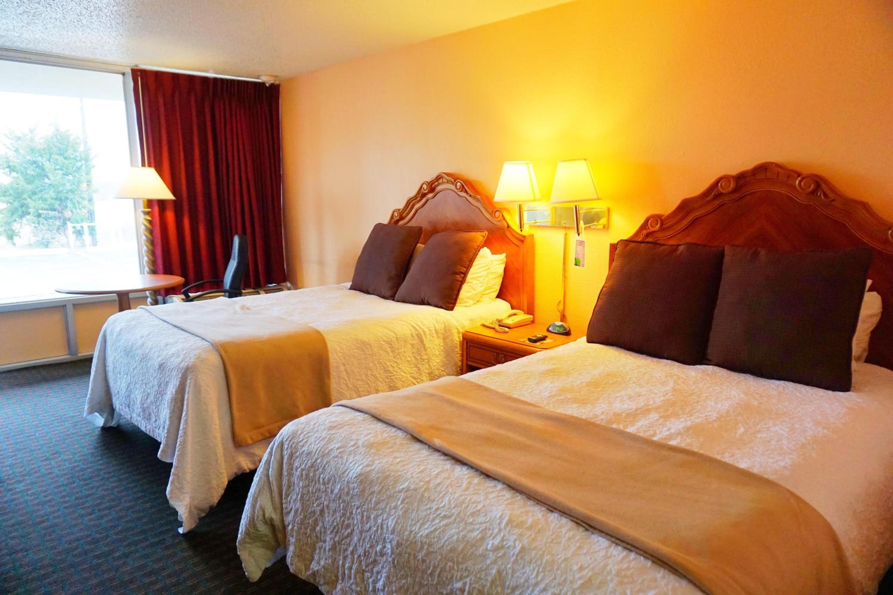 King Bed - Photo 3