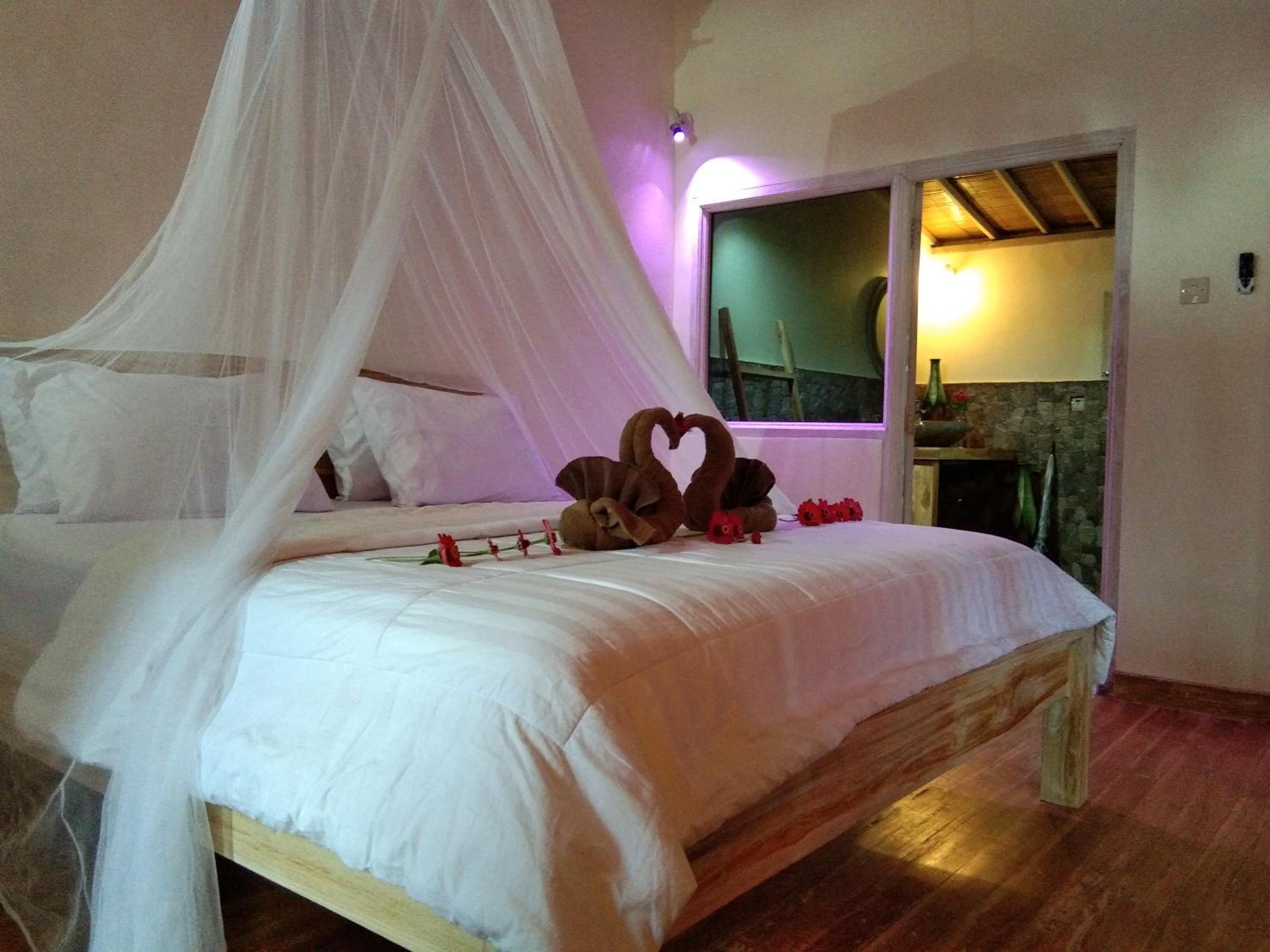 Queen Room with Pool View