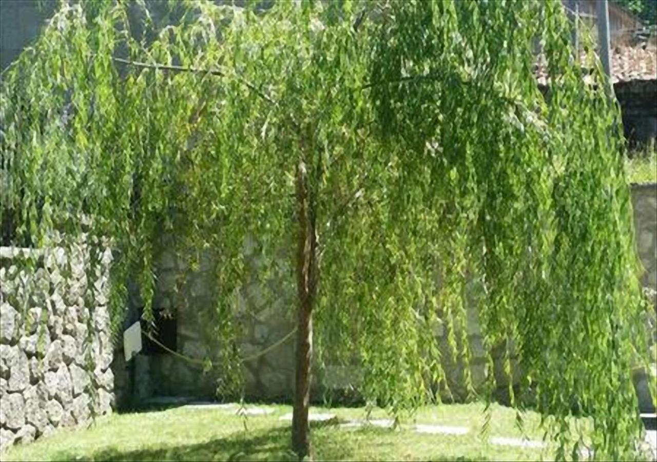 Apartment - Ground Floor - Photo 28