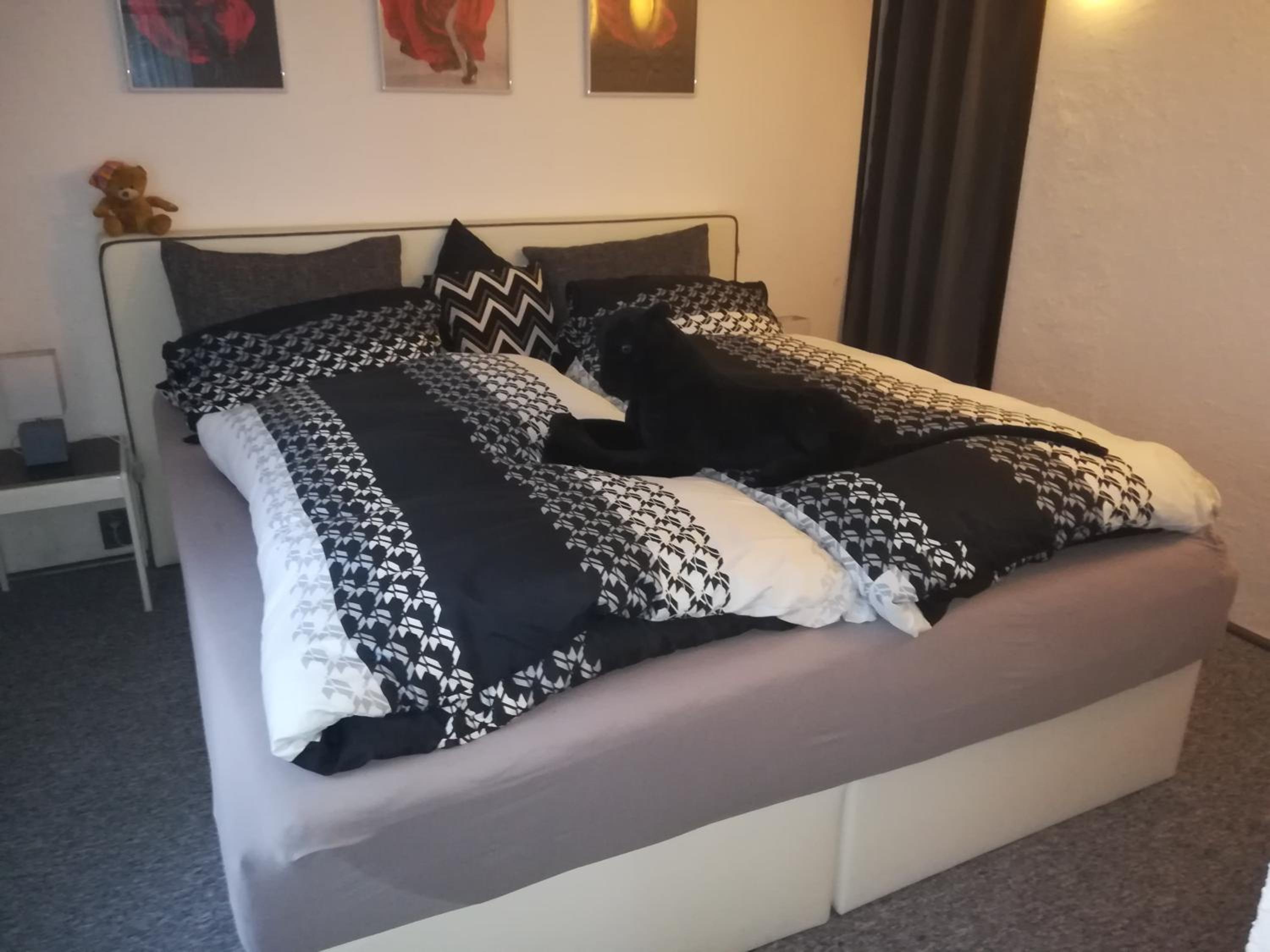 Two-Bedroom Apartment photo 1