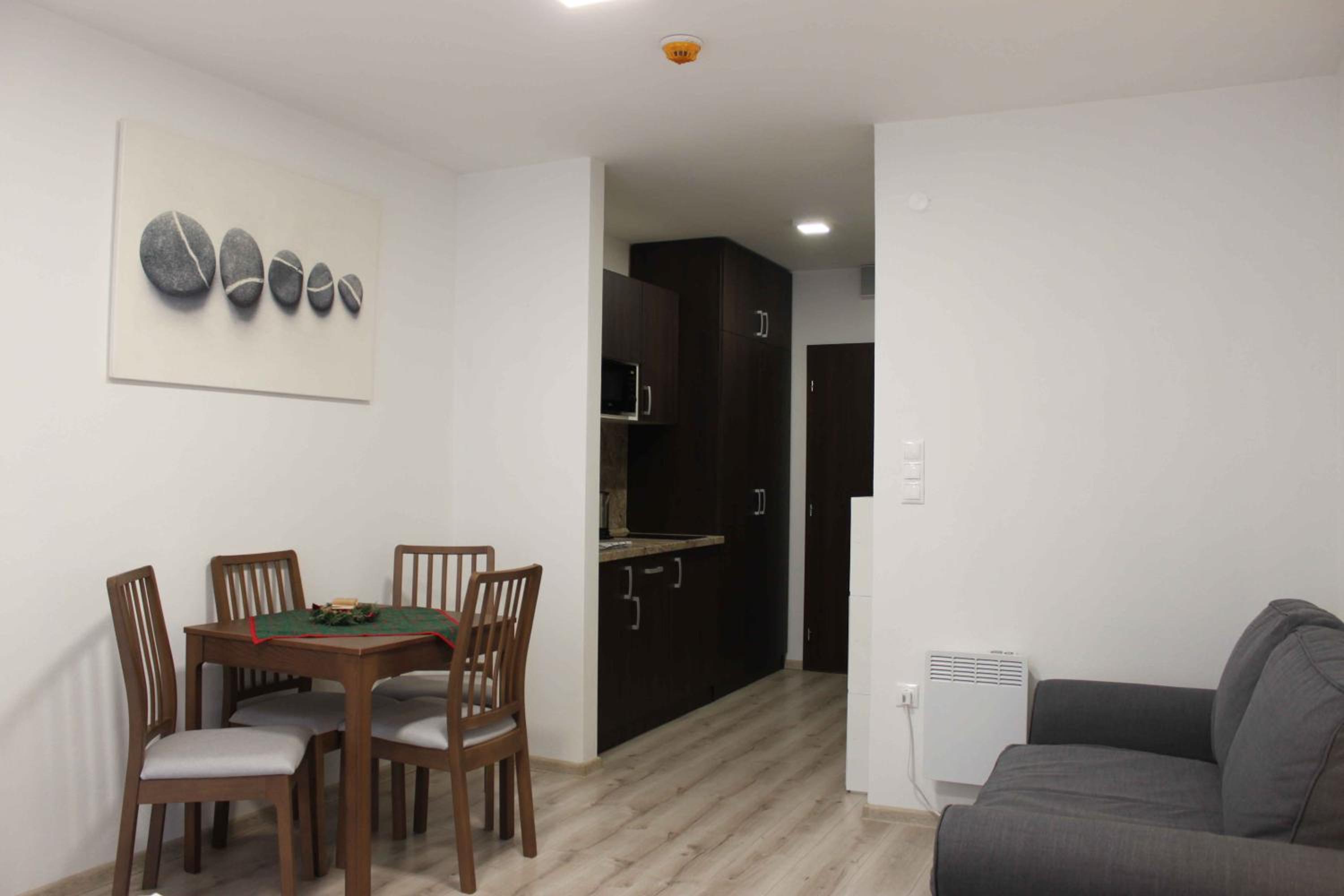 One-Bedroom Apartment - Photo 4