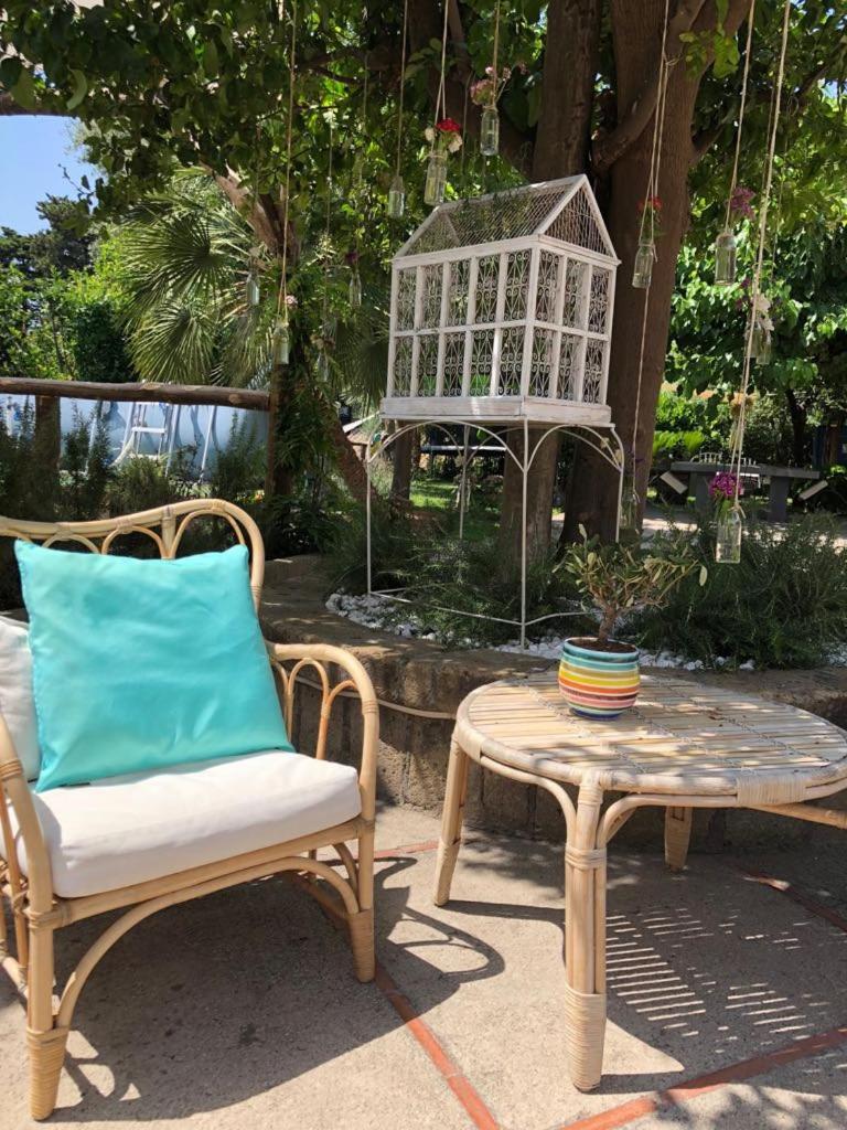 Double Room with Patio photo 2