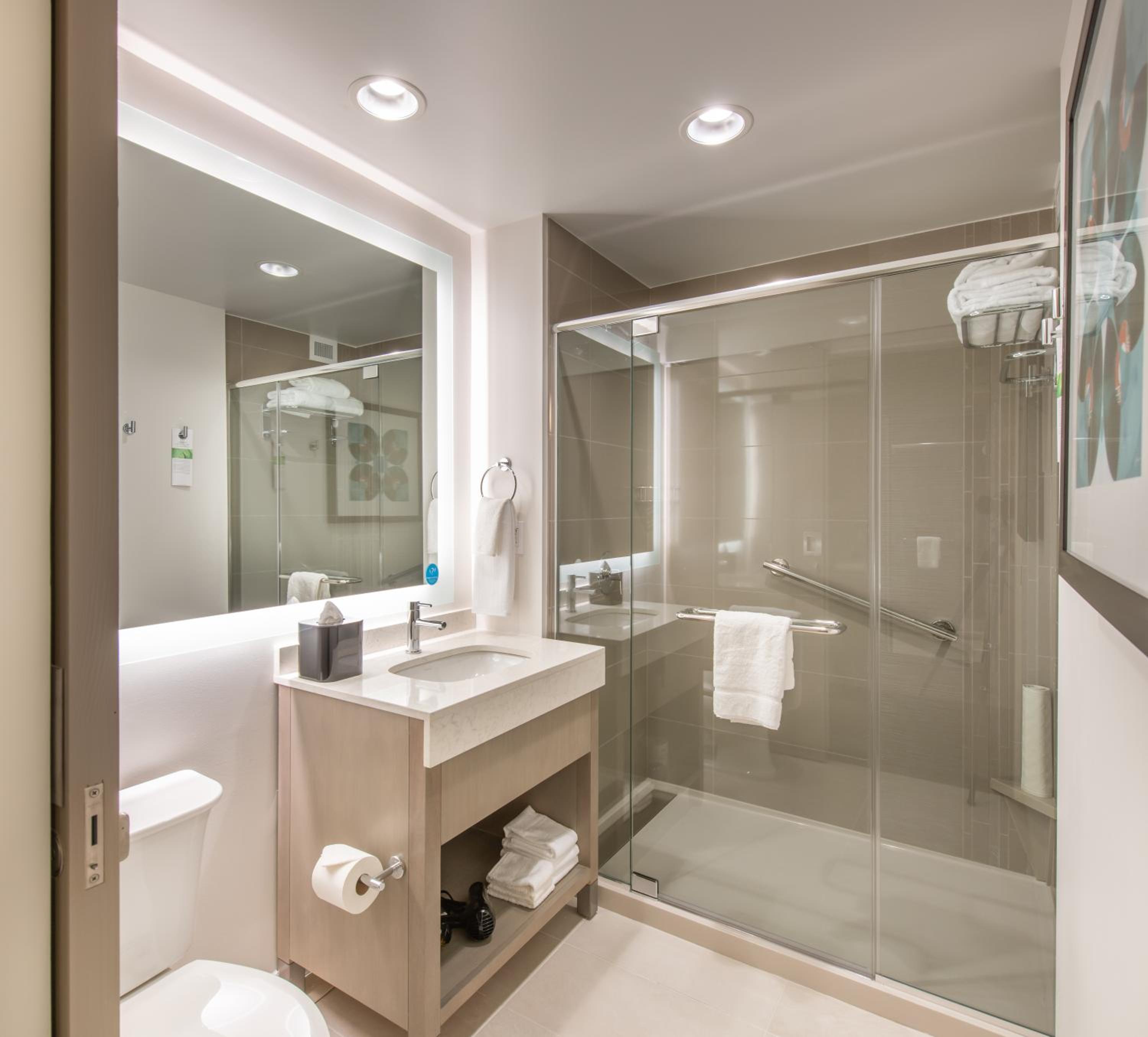 King Studio Suite with Kitchen and Sofa Bed photo 2