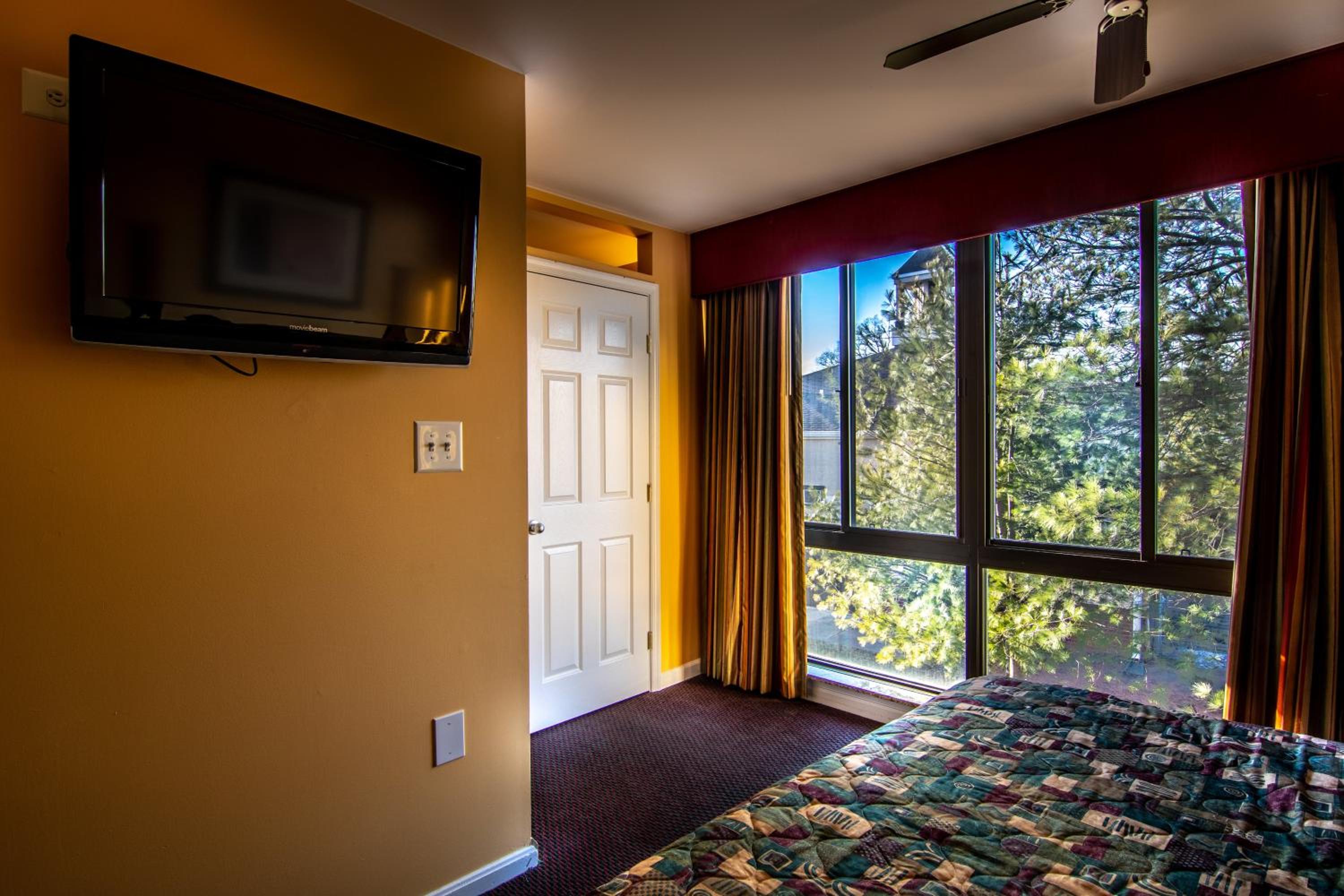 One-Bedroom Suite - Photo 4