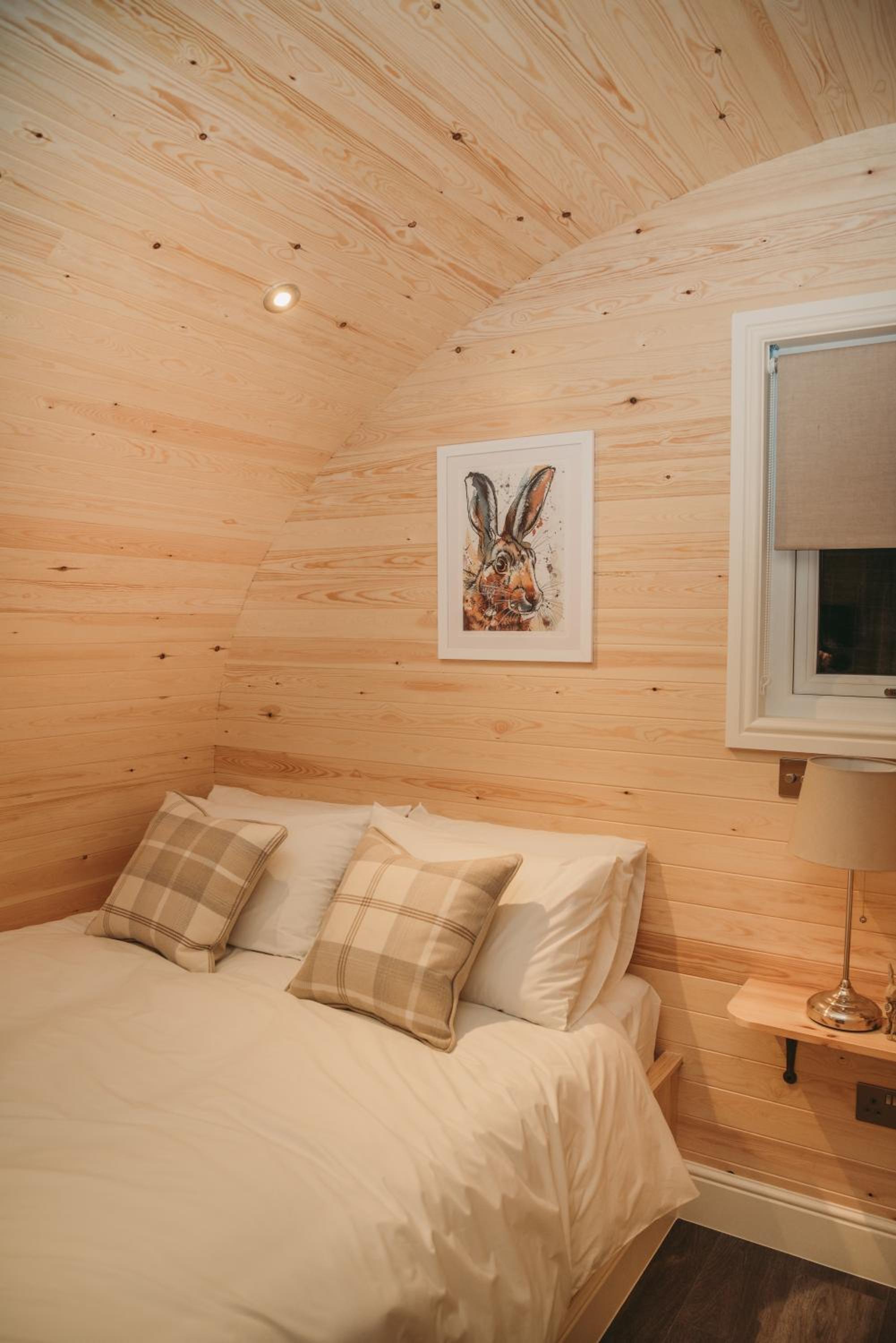 The Burrow