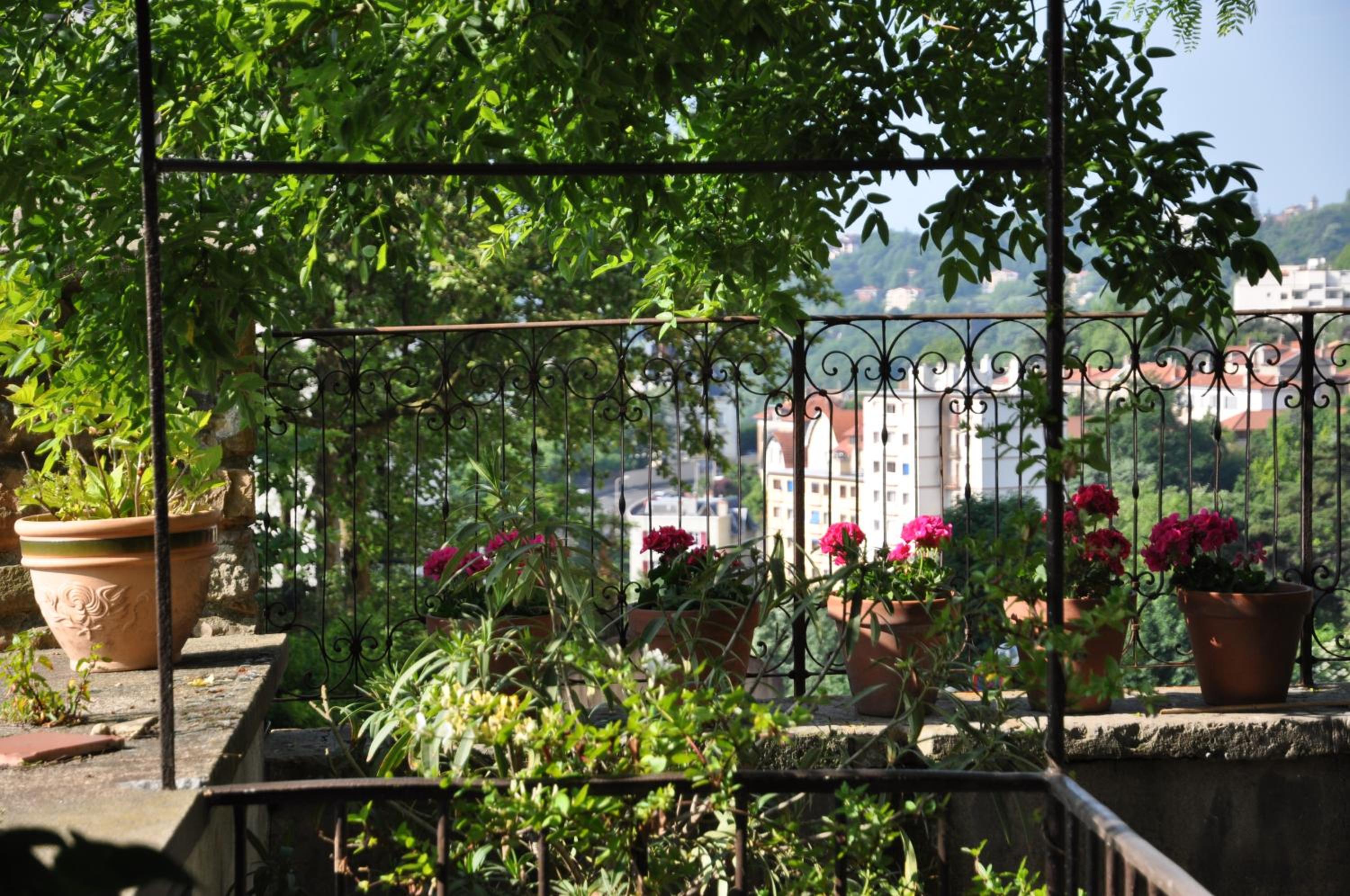 Suite with Garden View photo 3