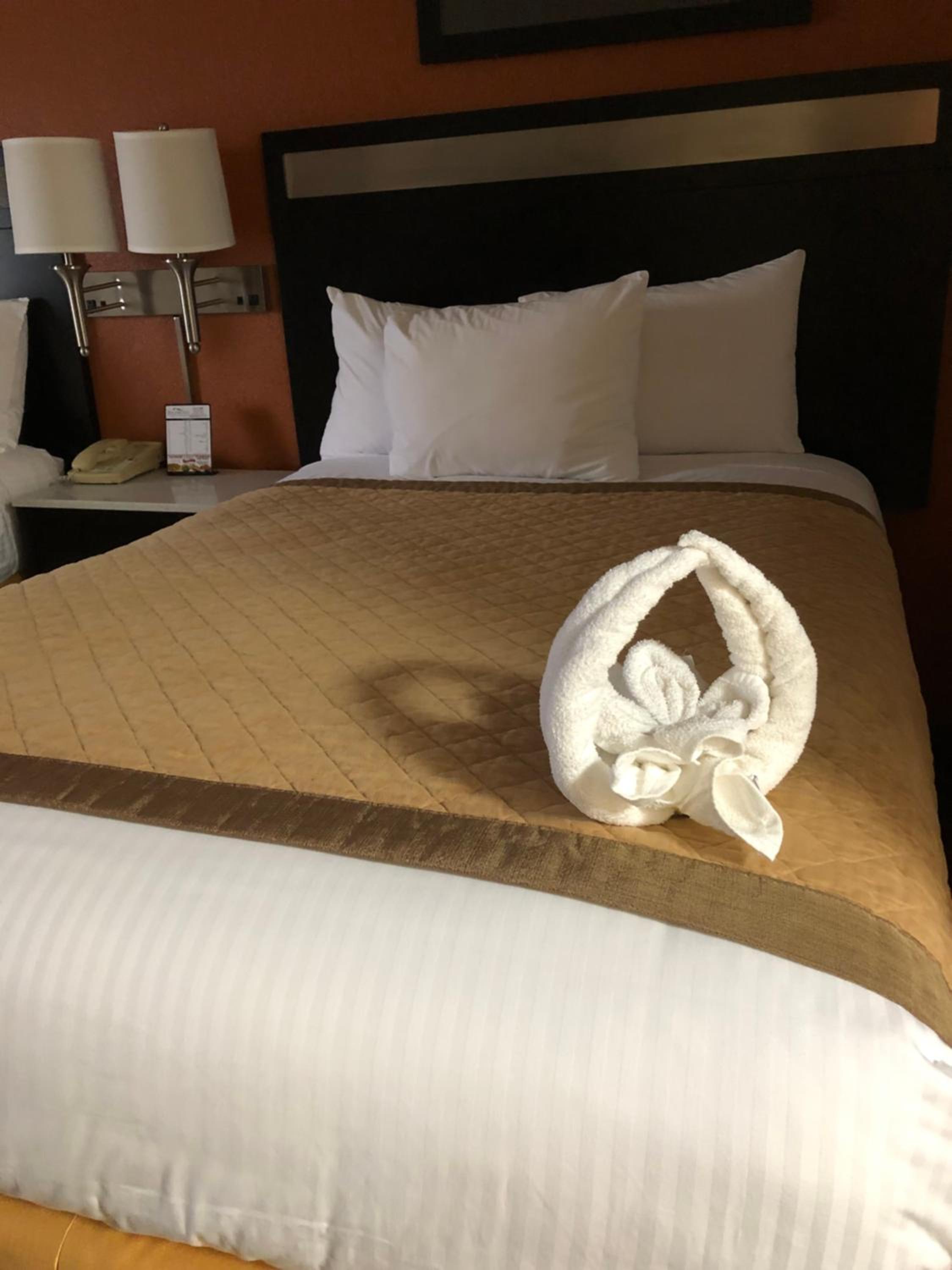 Baymont by Wyndham Cincinnati Sharonville, Foto 6