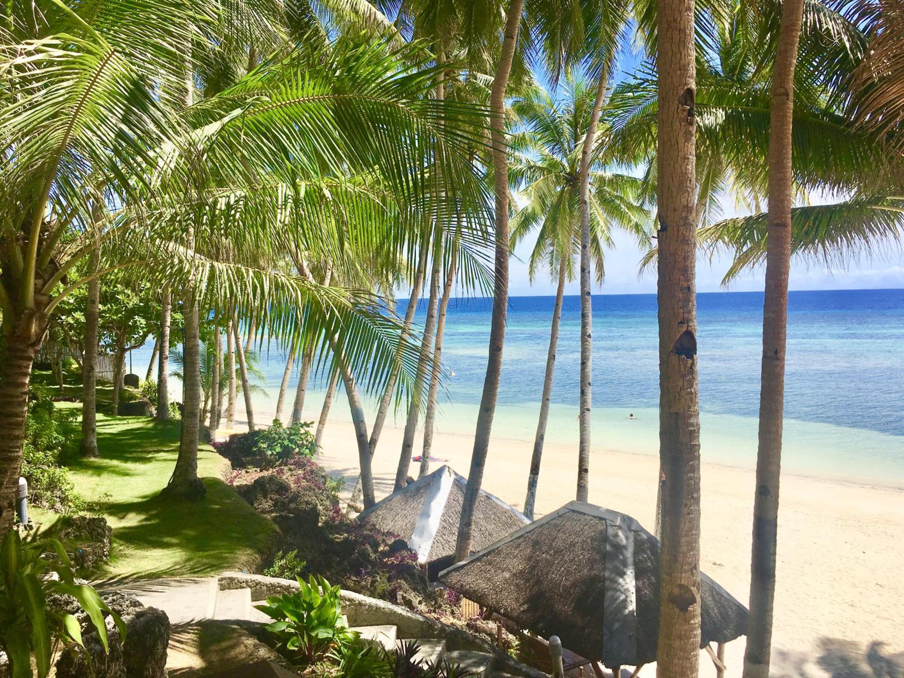 Standard Double or Twin Room with Ocean View photo 2