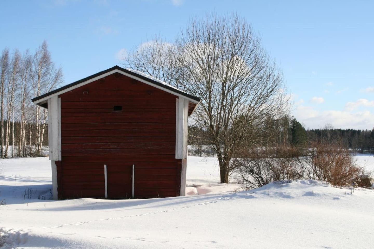 Three-Bedroom Chalet photo 1