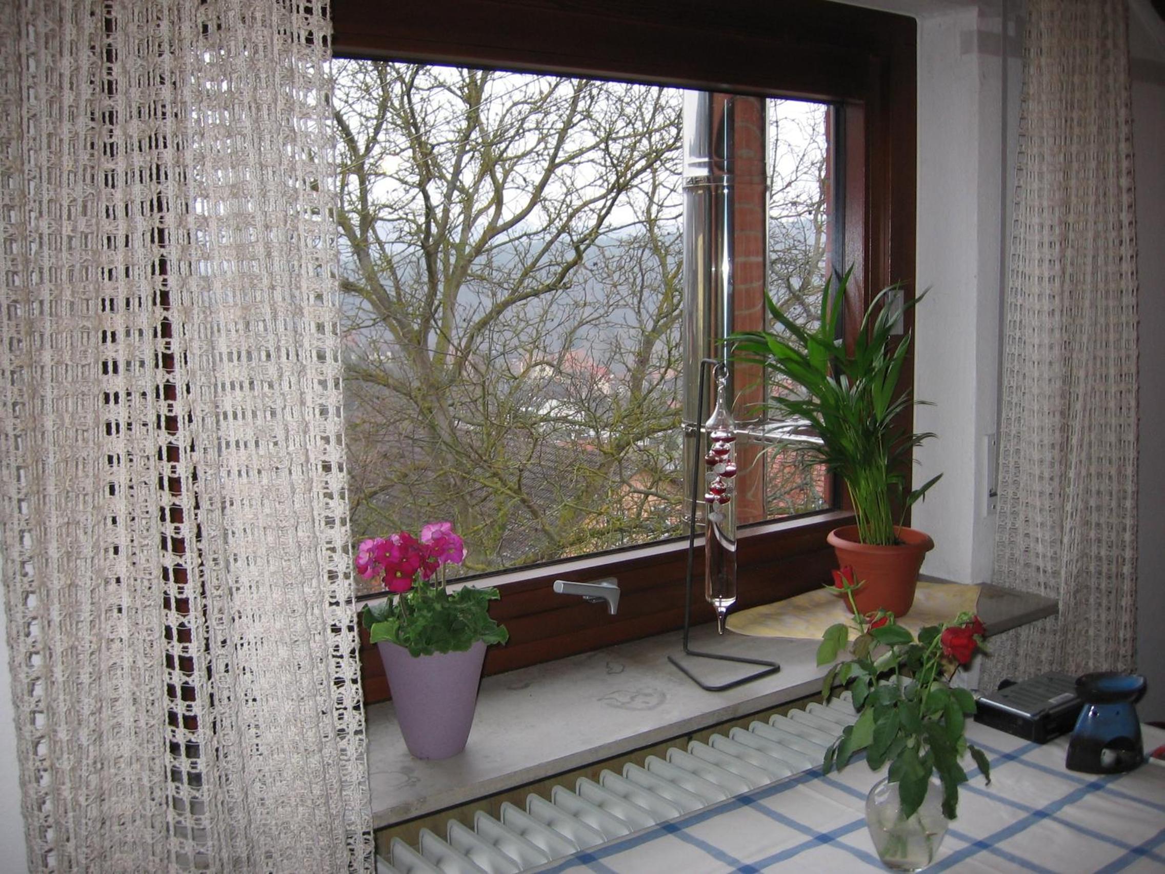 Apartment With Garden View photo 3