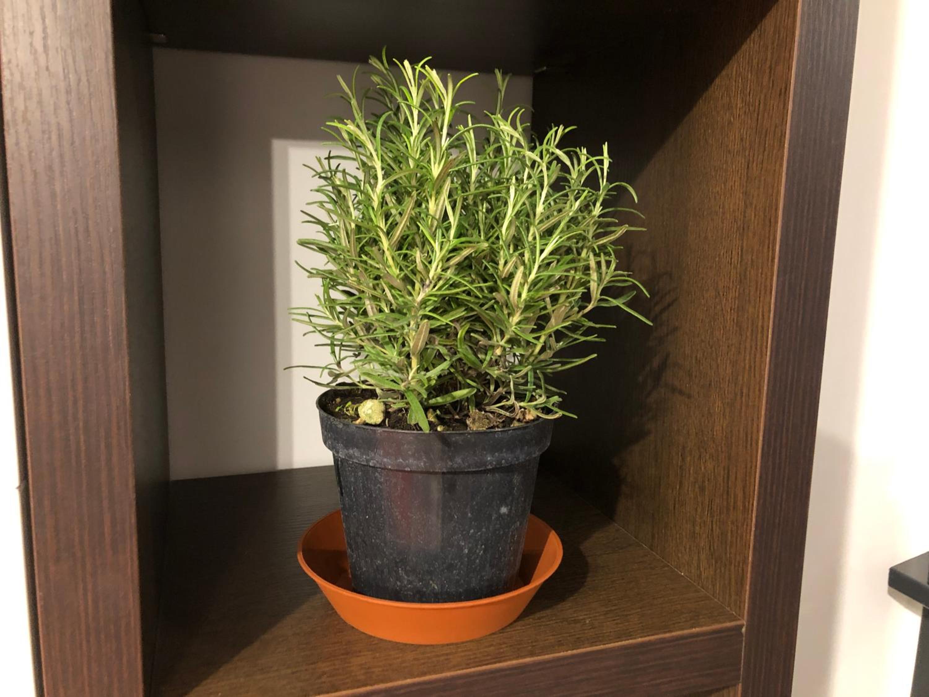 Apartment - Photo 26