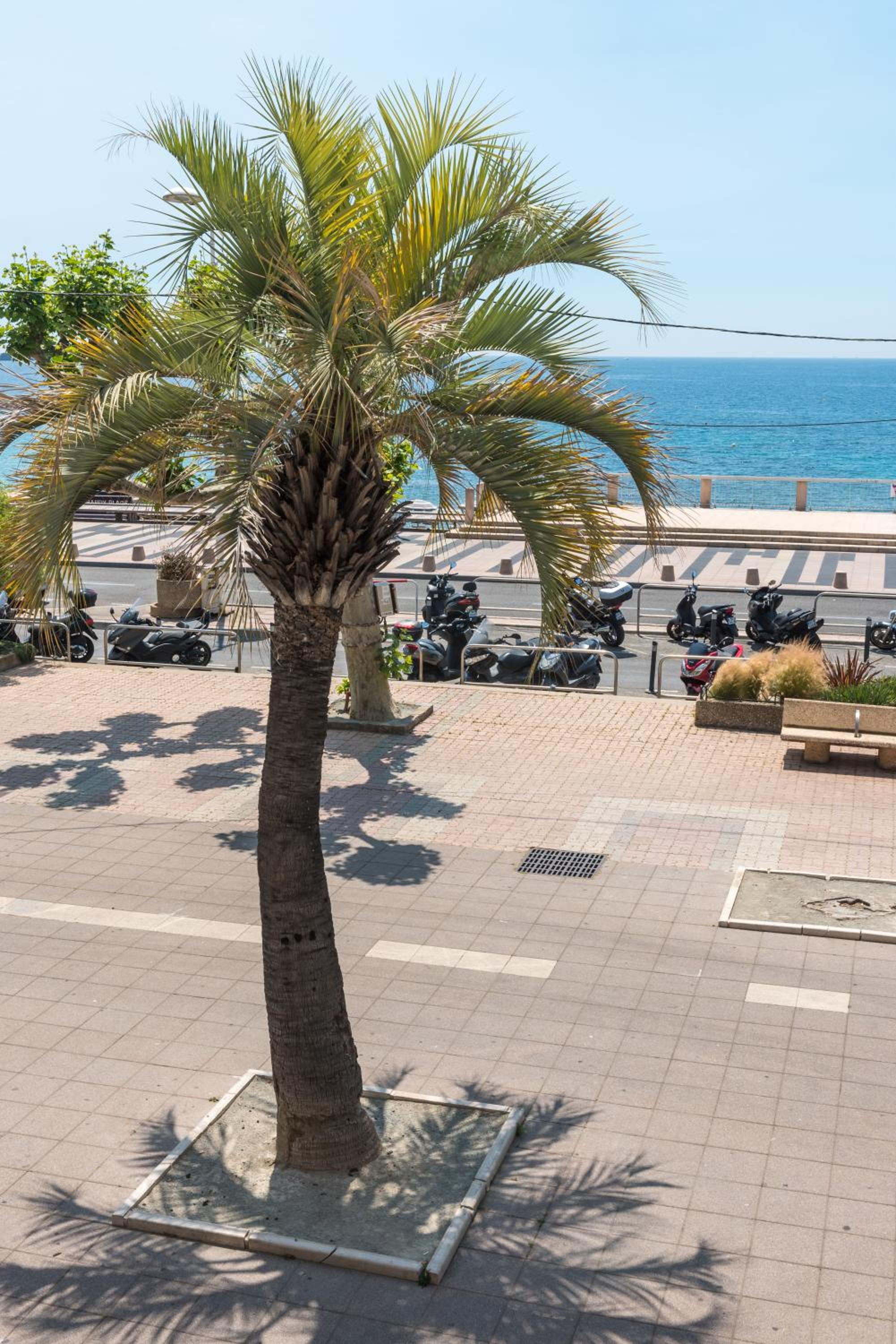 Superior Double Room with Sea View - Photo 11