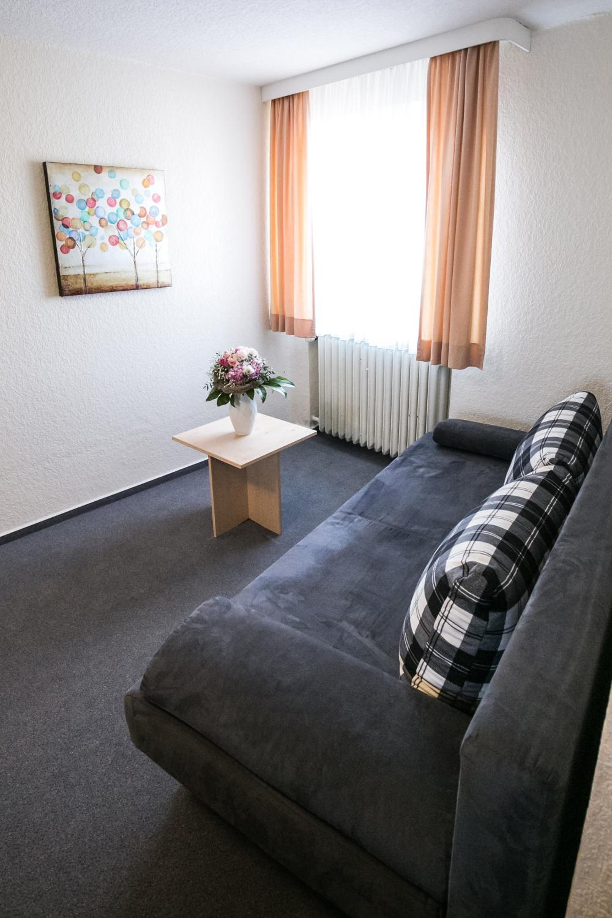 Double Room with Sofa Bed photo 2