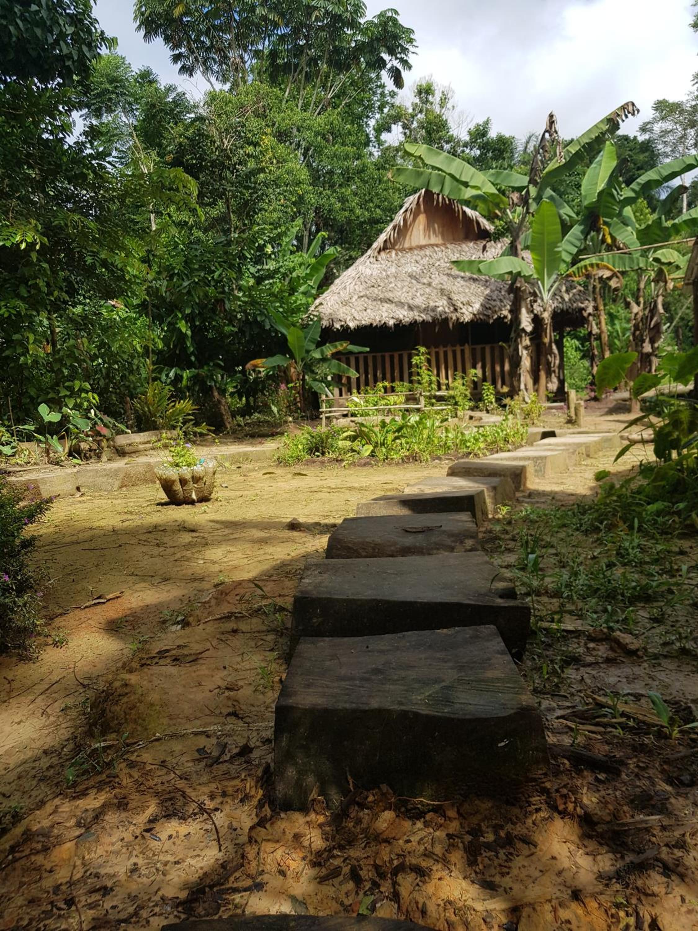 Bungalow (4 Adults) photo 3