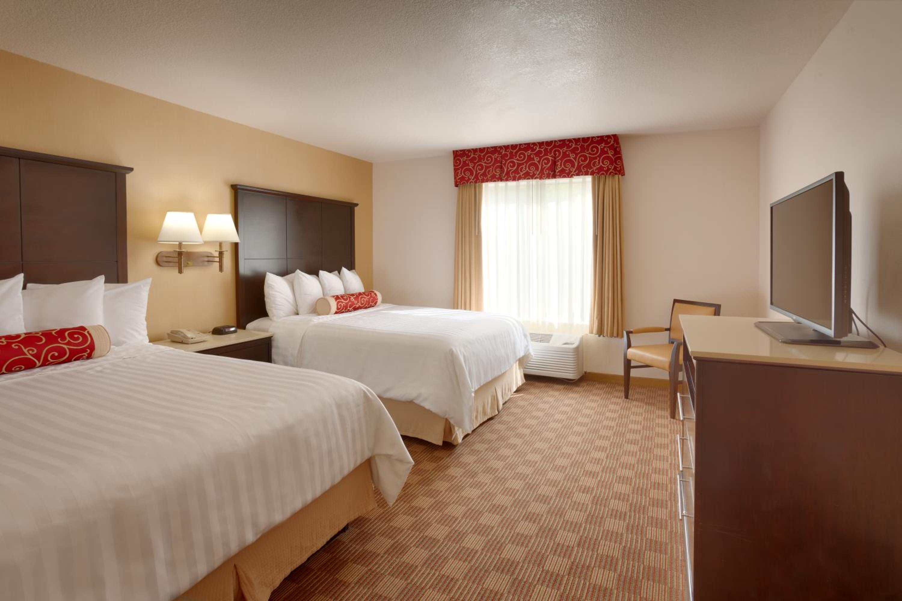 Executive One-Bedroom Suite - Photo 5
