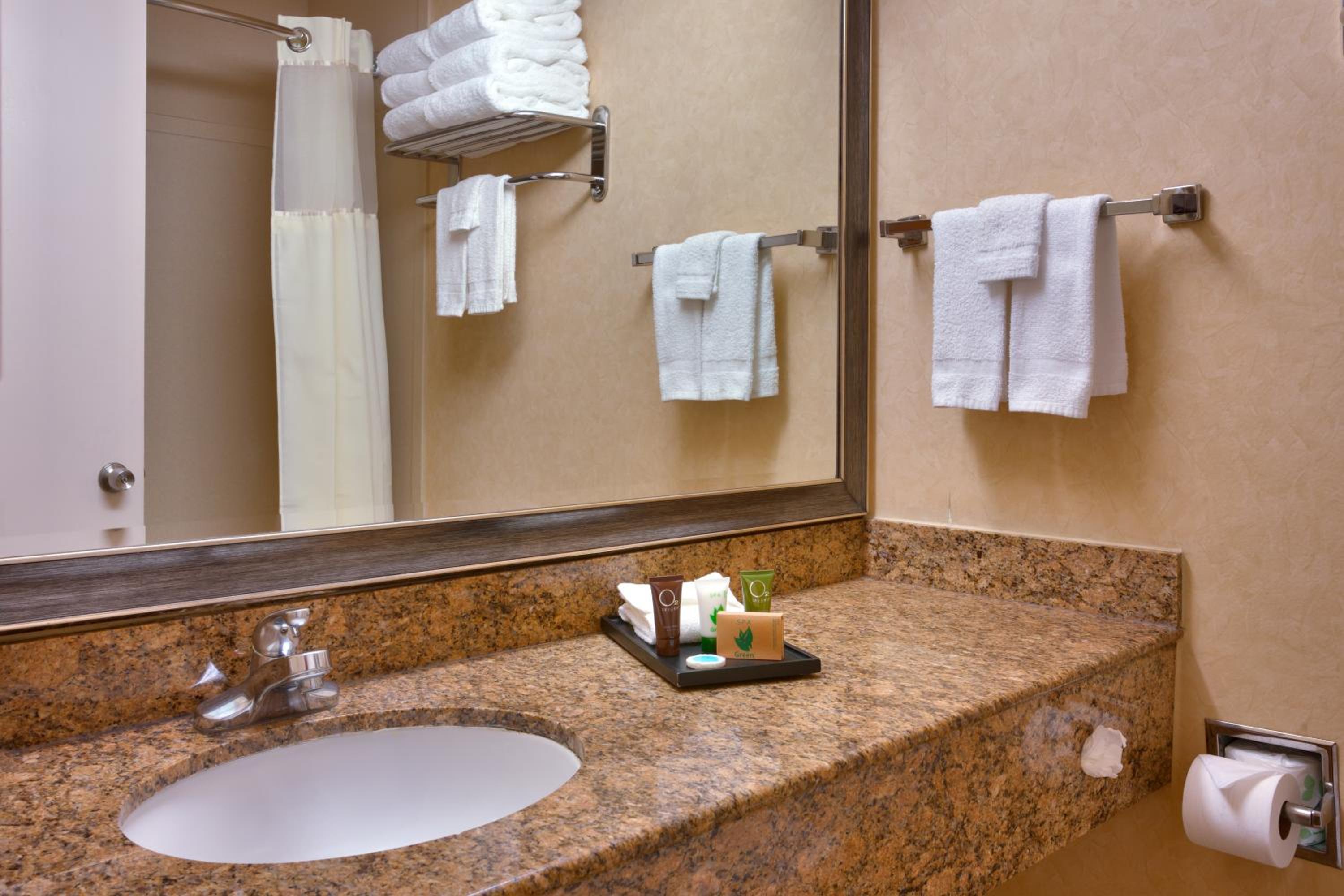 Executive One-Bedroom Suite - Photo 4