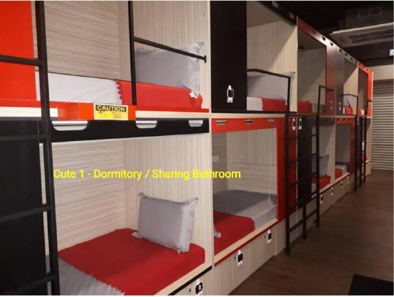 Bunk Bed in Mixed Dormitory Room