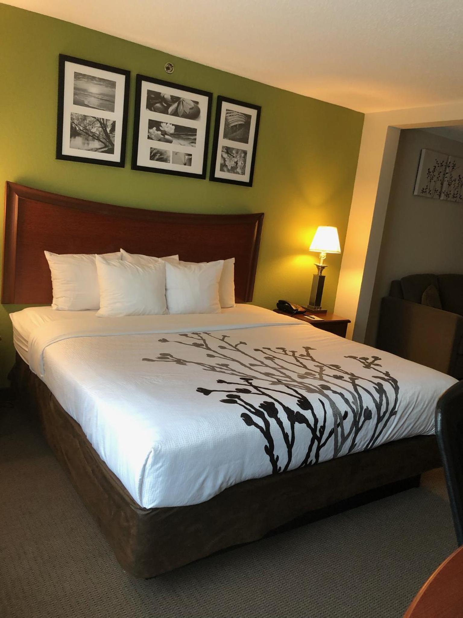 Standard King Room - Non-Smoking  - Photo 5