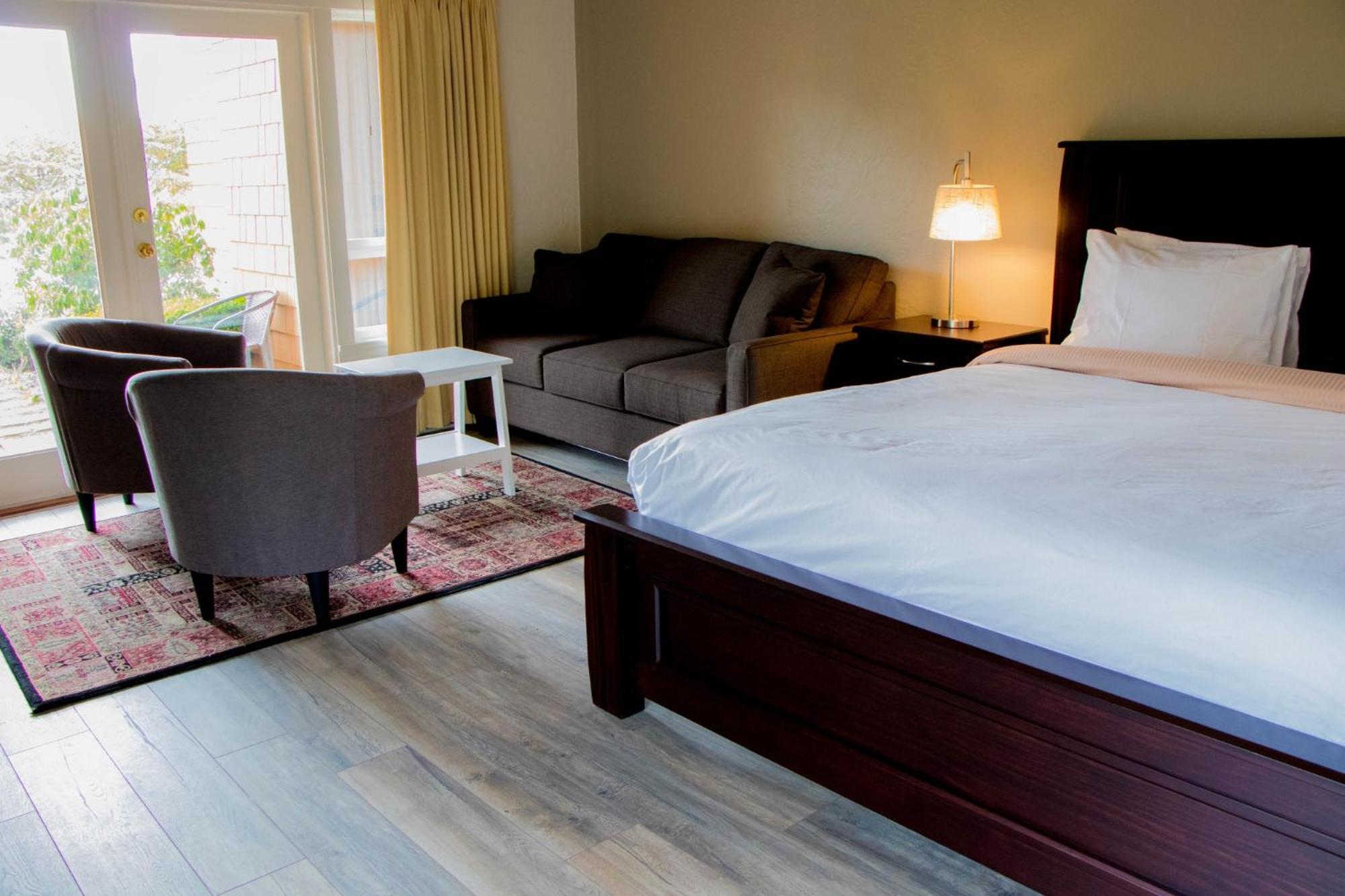 King Studio with Sofa Bed (Pet Friendly)