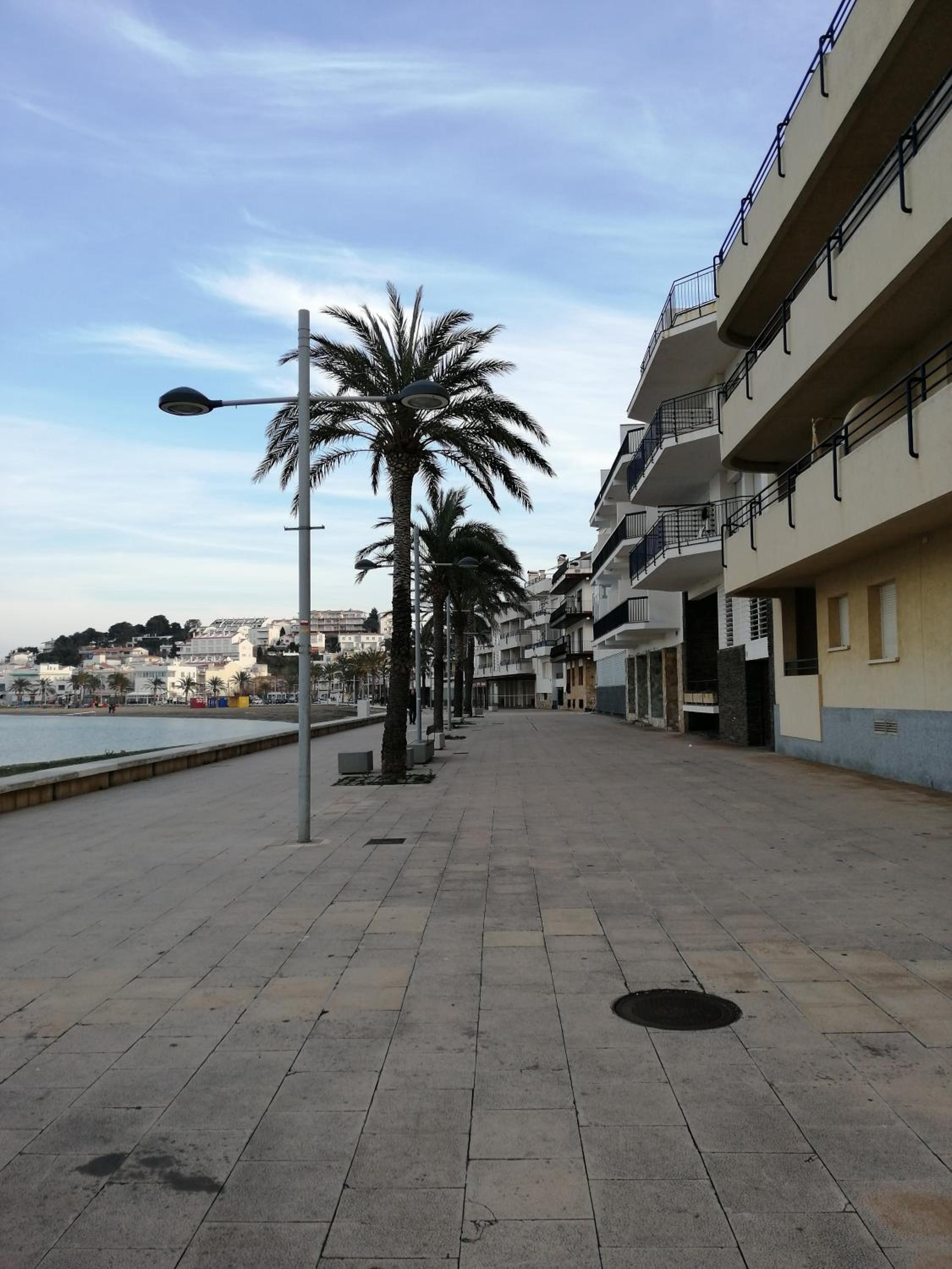 Apartment with Terrace photo 2