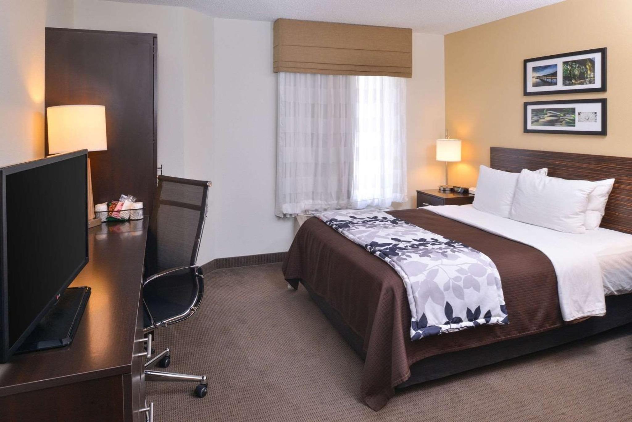 Queen Room - Non-Smoking - Photo 6