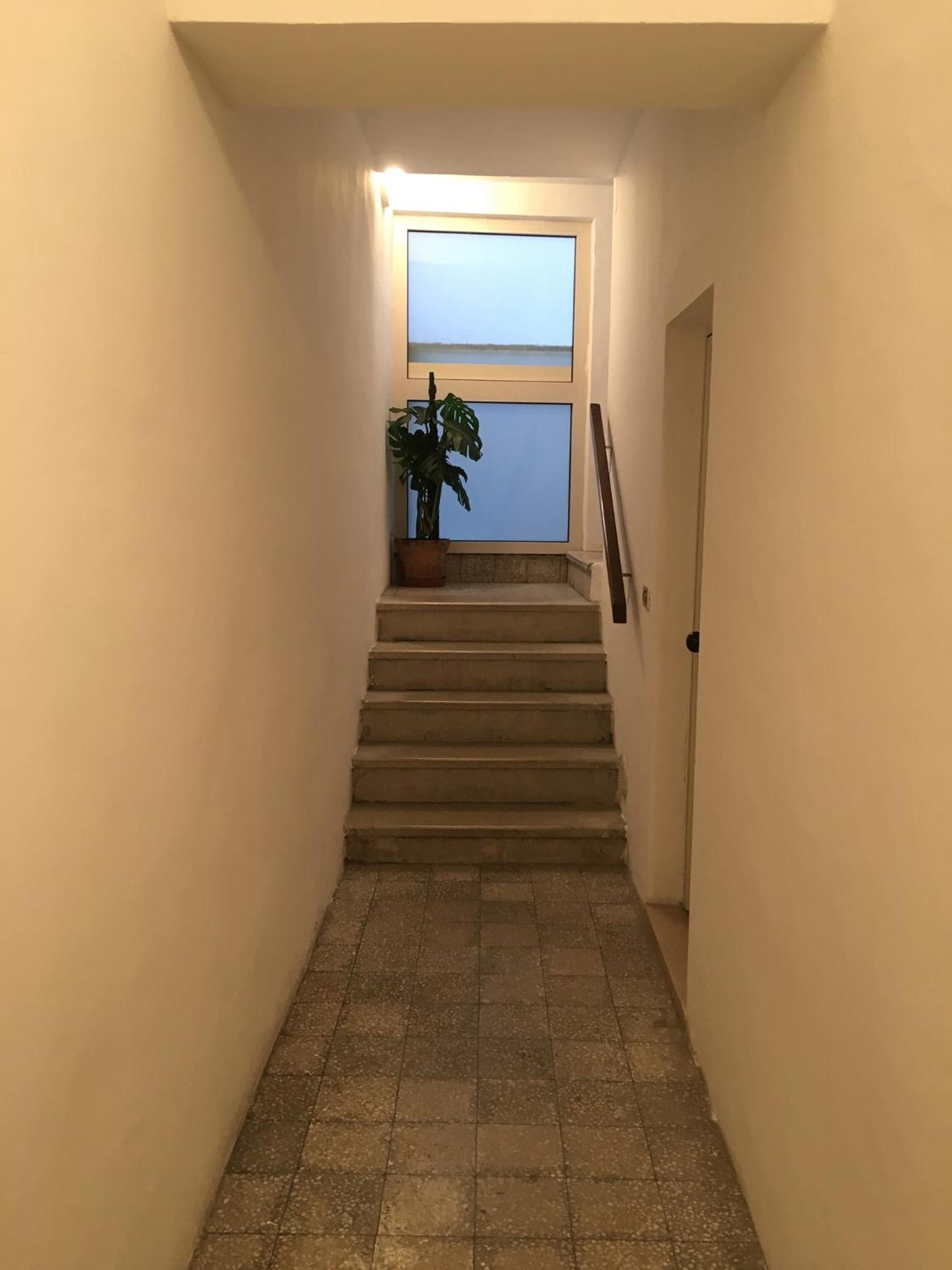 Apartment - Photo 5