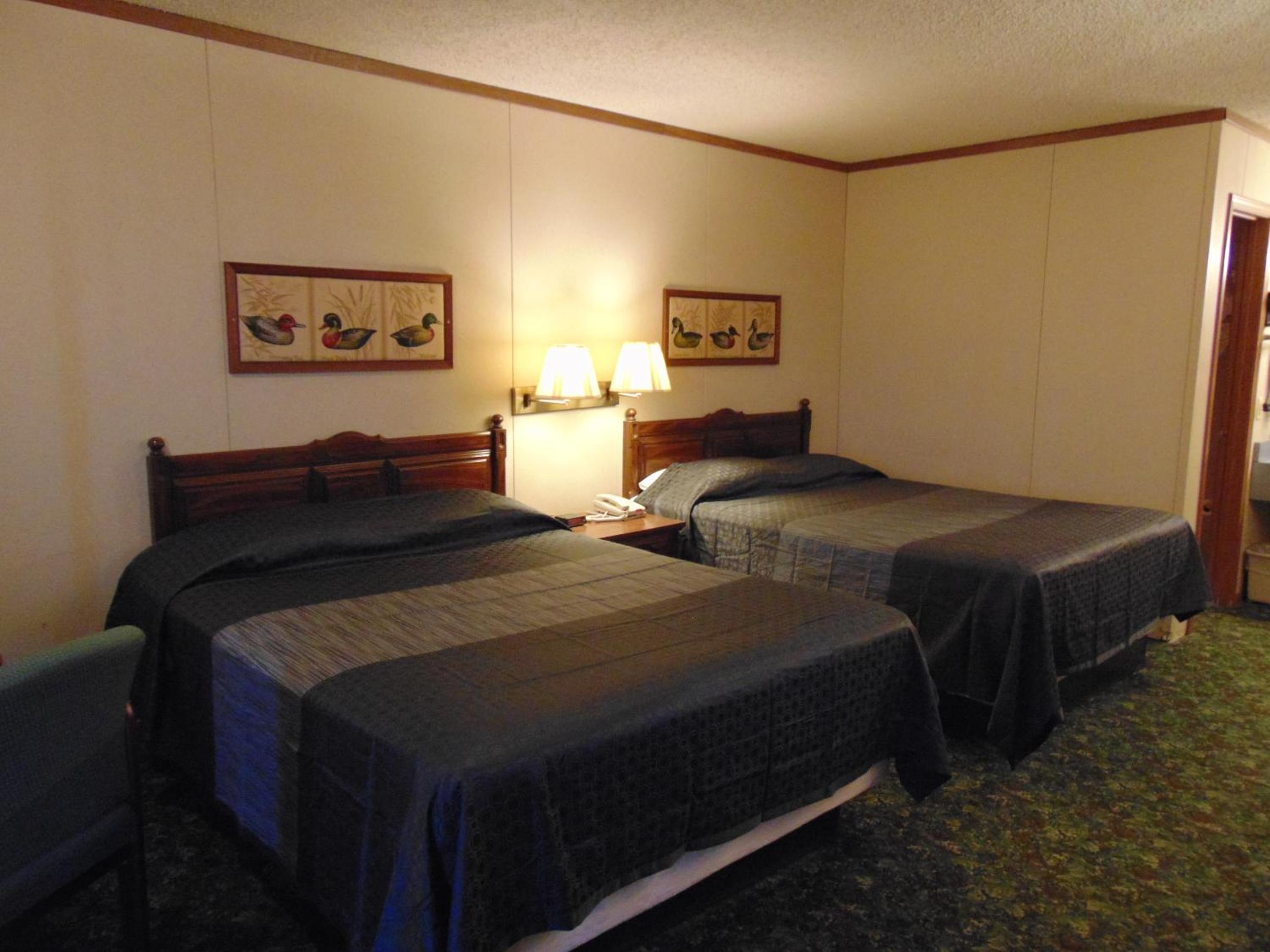 Double Room with Two Double Beds photo 2