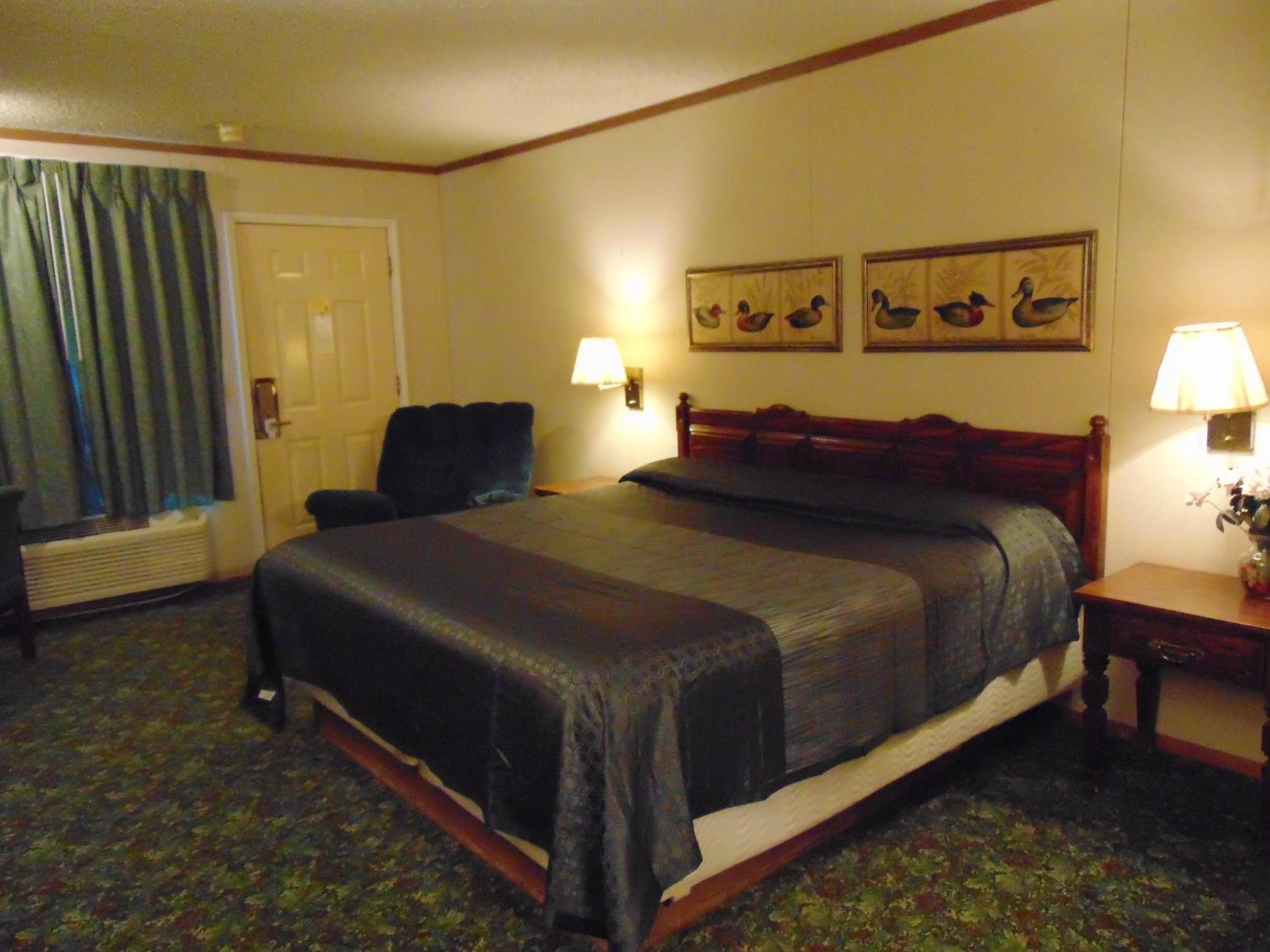 Large Single Room photo 3