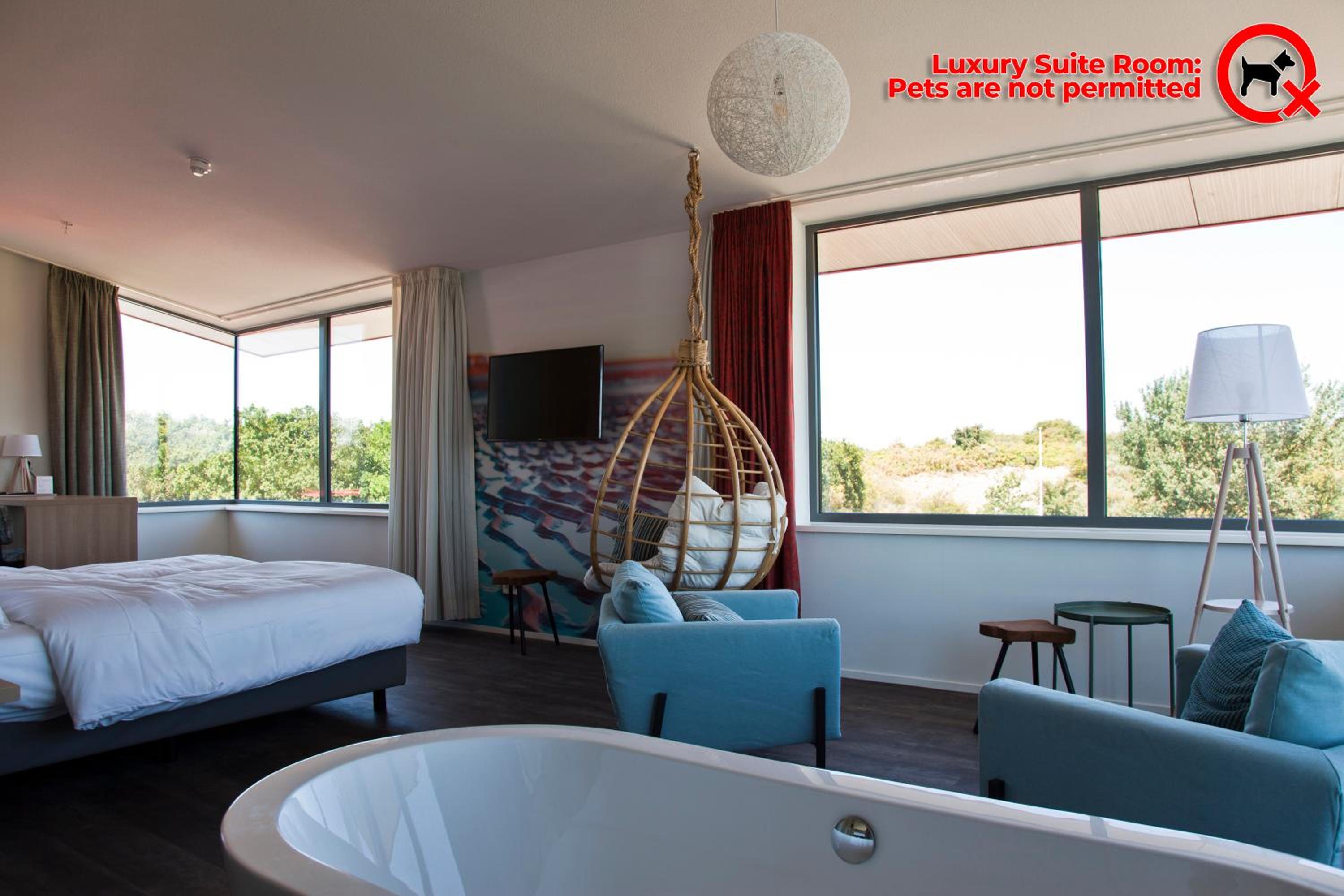 Suite (No pets allowed), photo 7