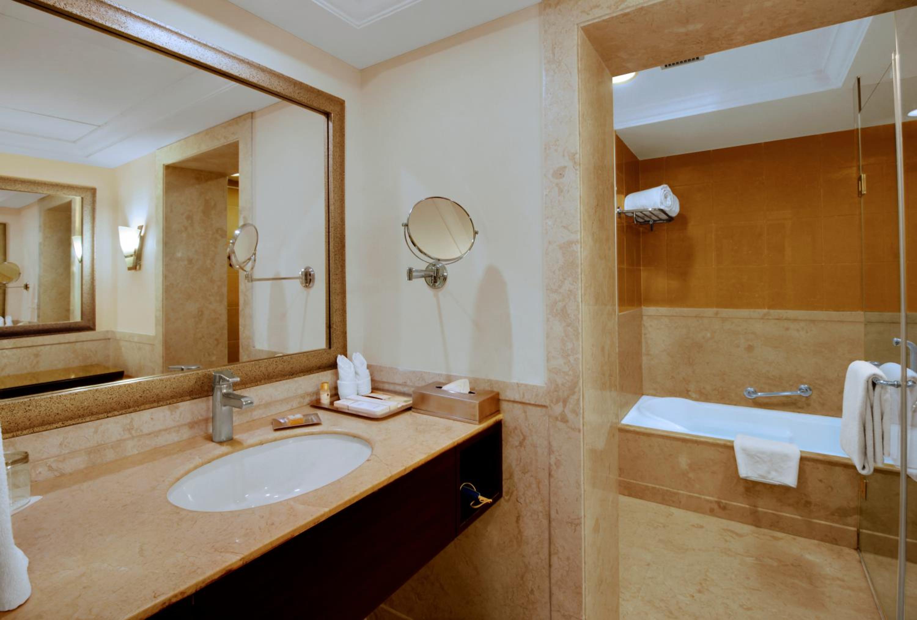 Premium Suite - Photo 4