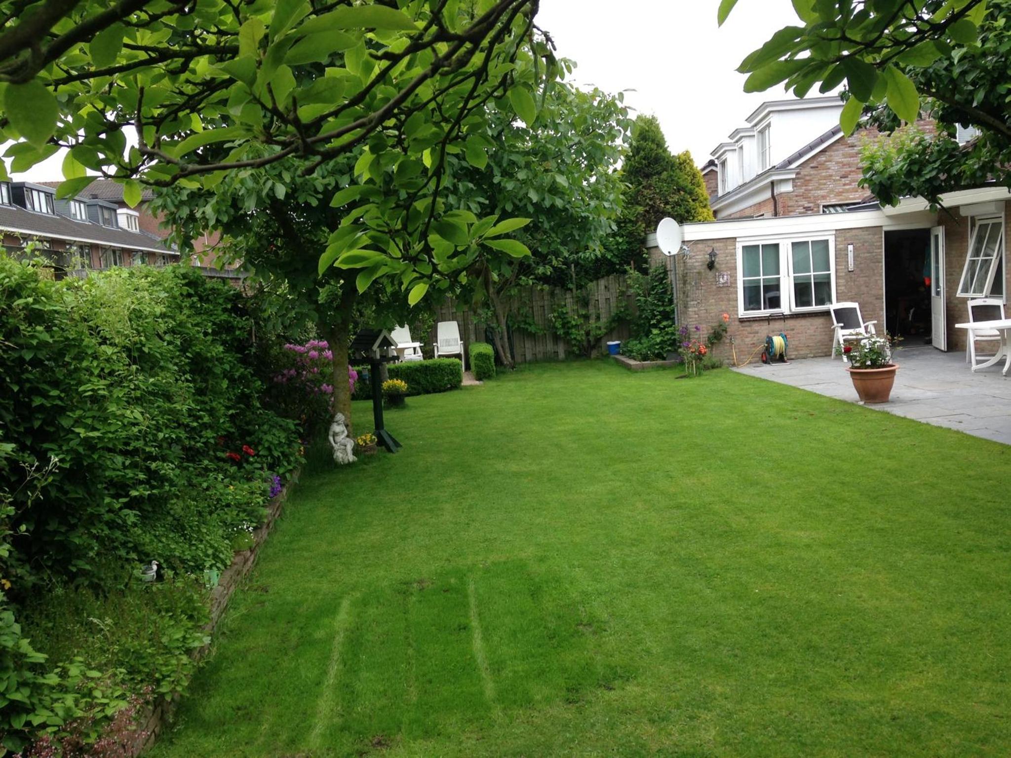 Single Room with Garden View photo 3