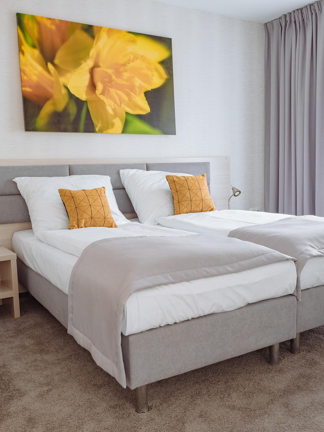Double or Twin Room - Photo 4