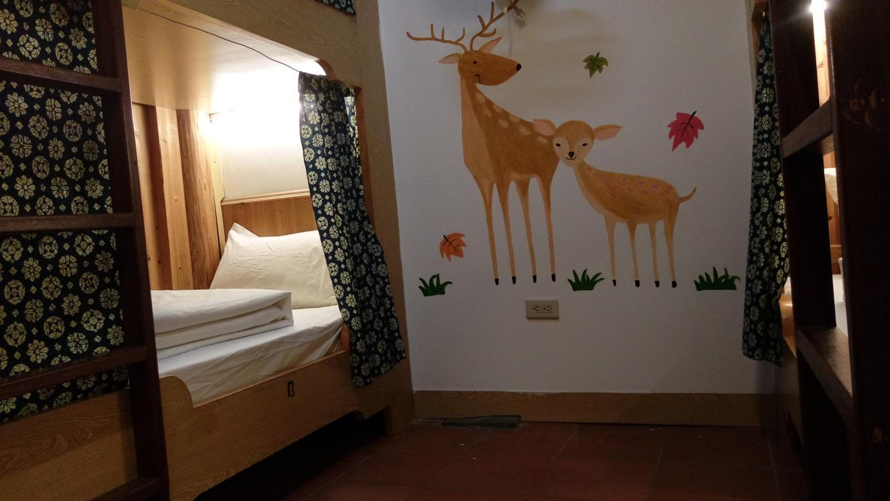 Bed in 4-Bed Female Dormitory Room photo 2