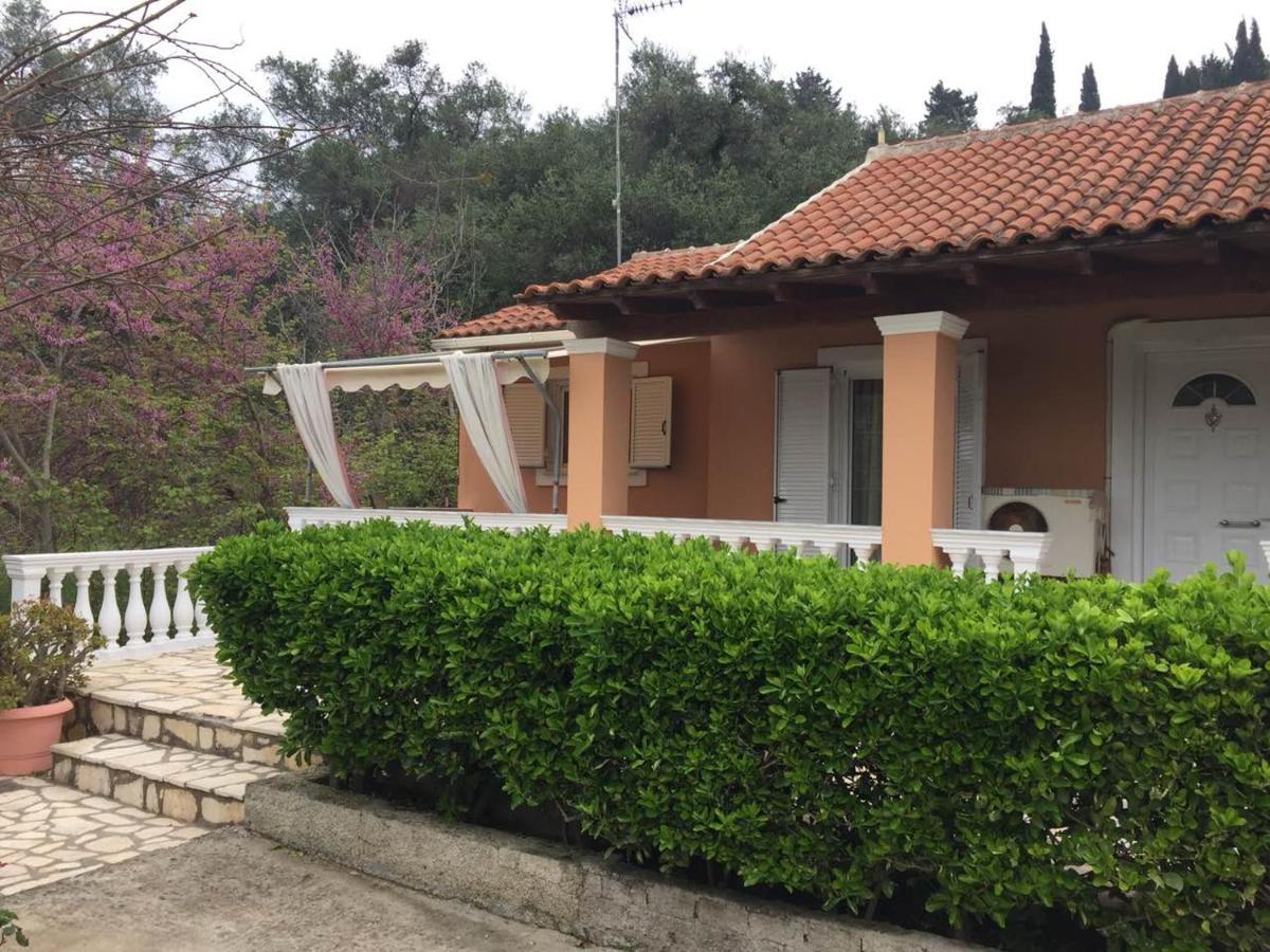 Villa photo 2