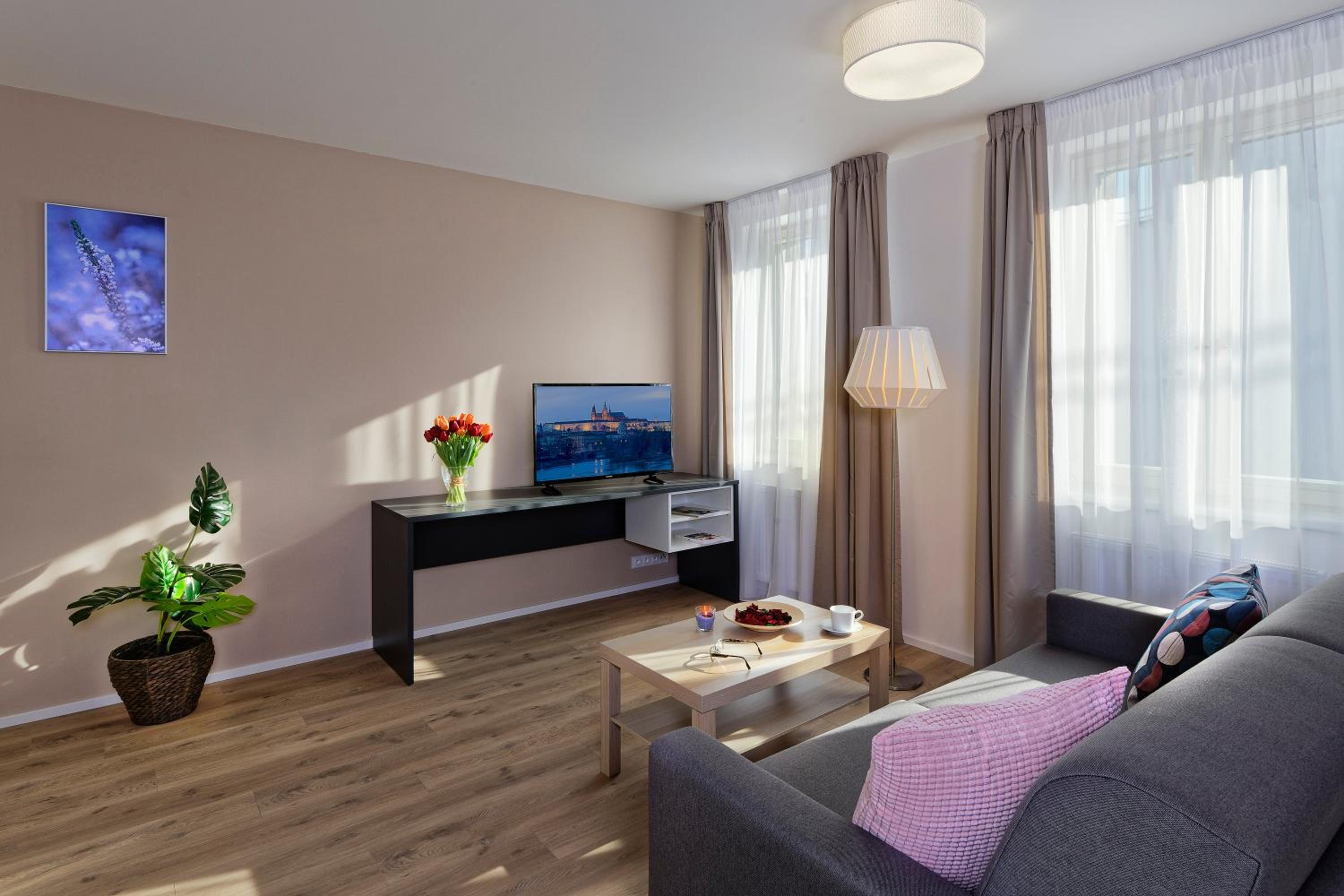 Deluxe One-Bedroom Apartment
