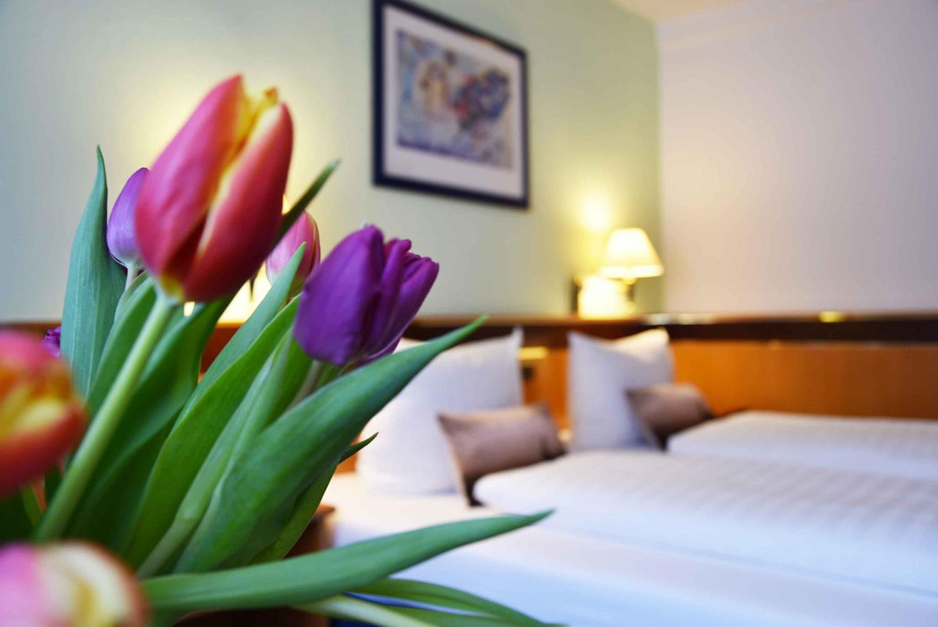 Double Room - Photo 2