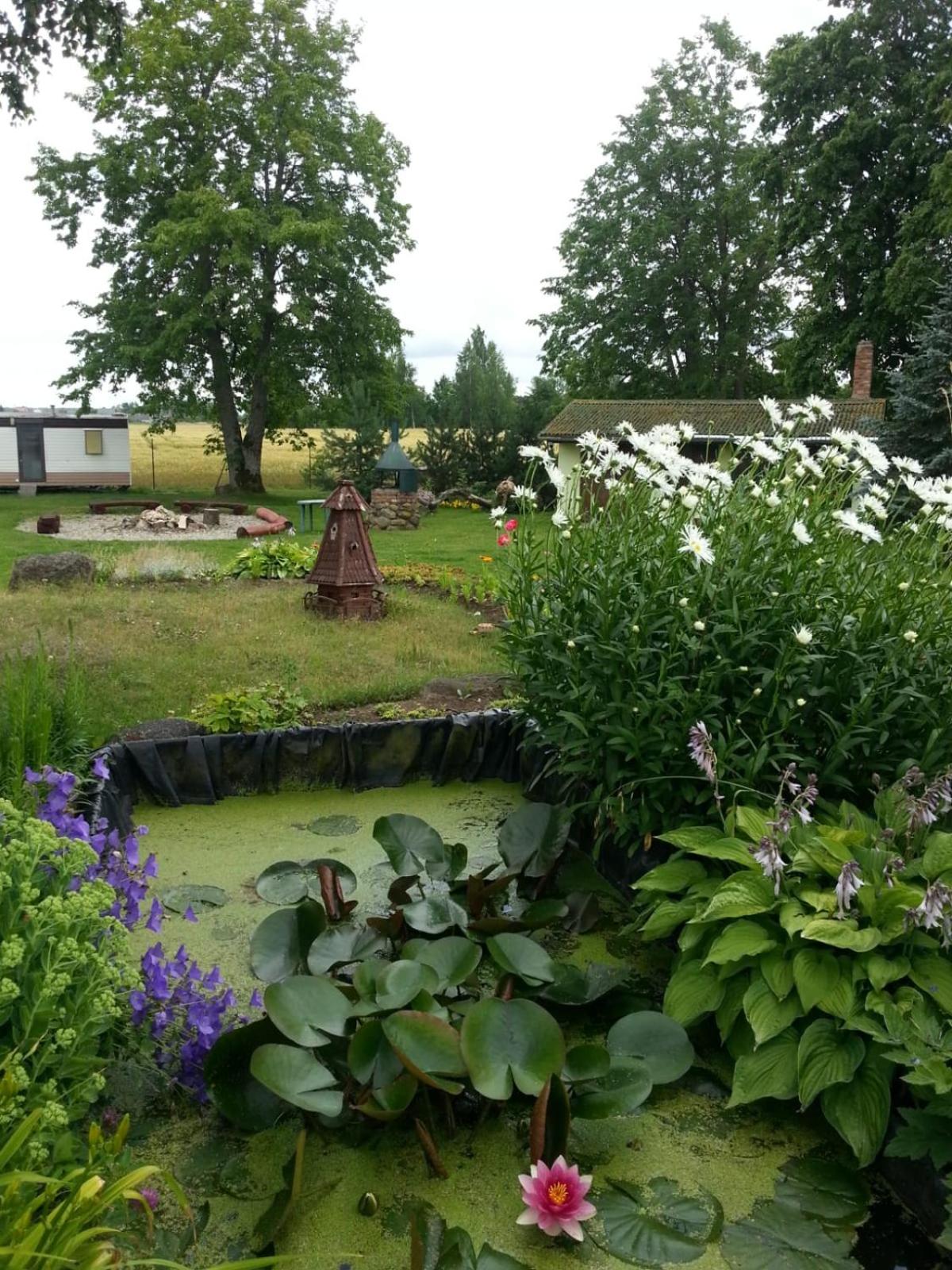 Six-Bedroom House - Photo 11