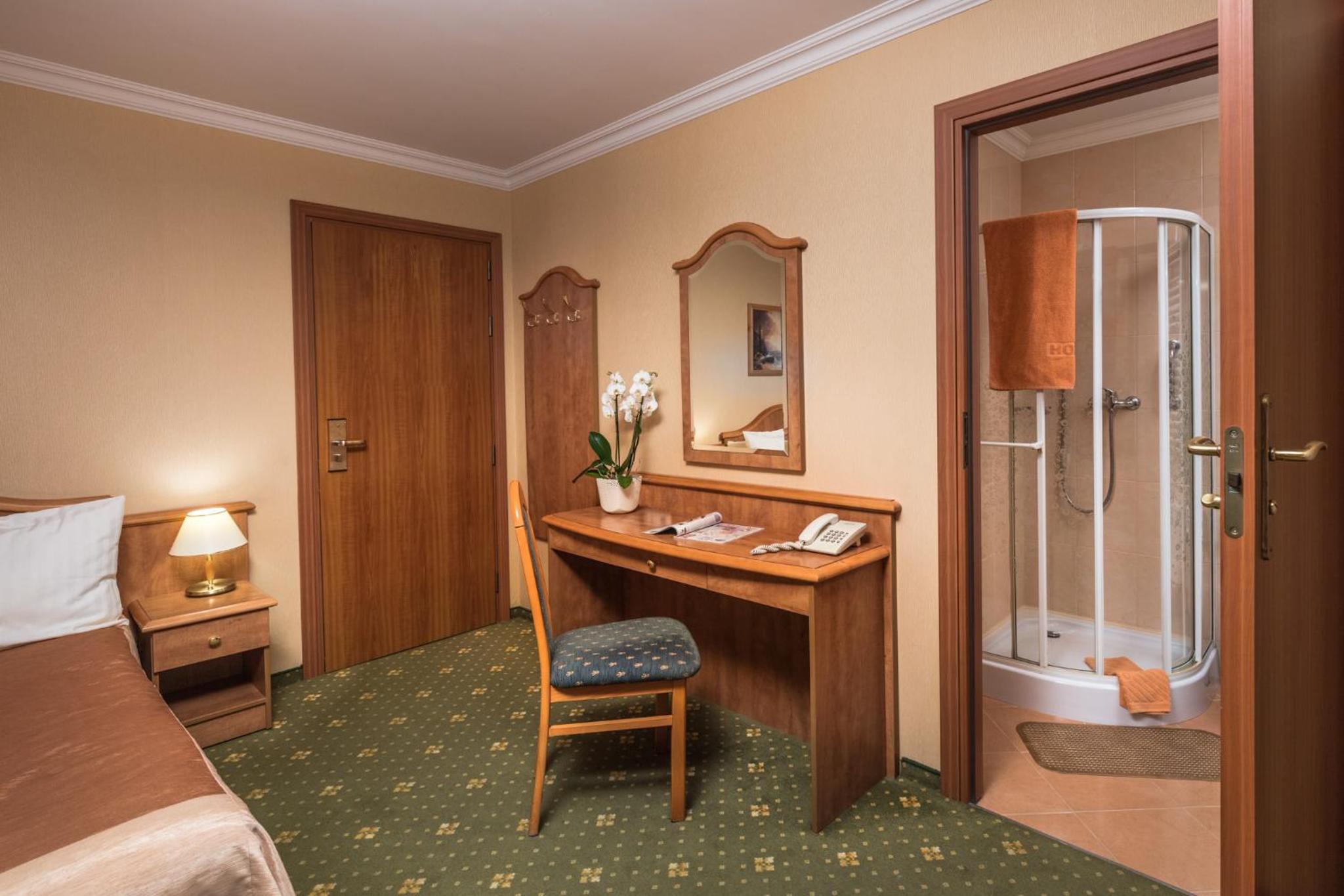 Double or Twin Room  with New Year's Package photo 3