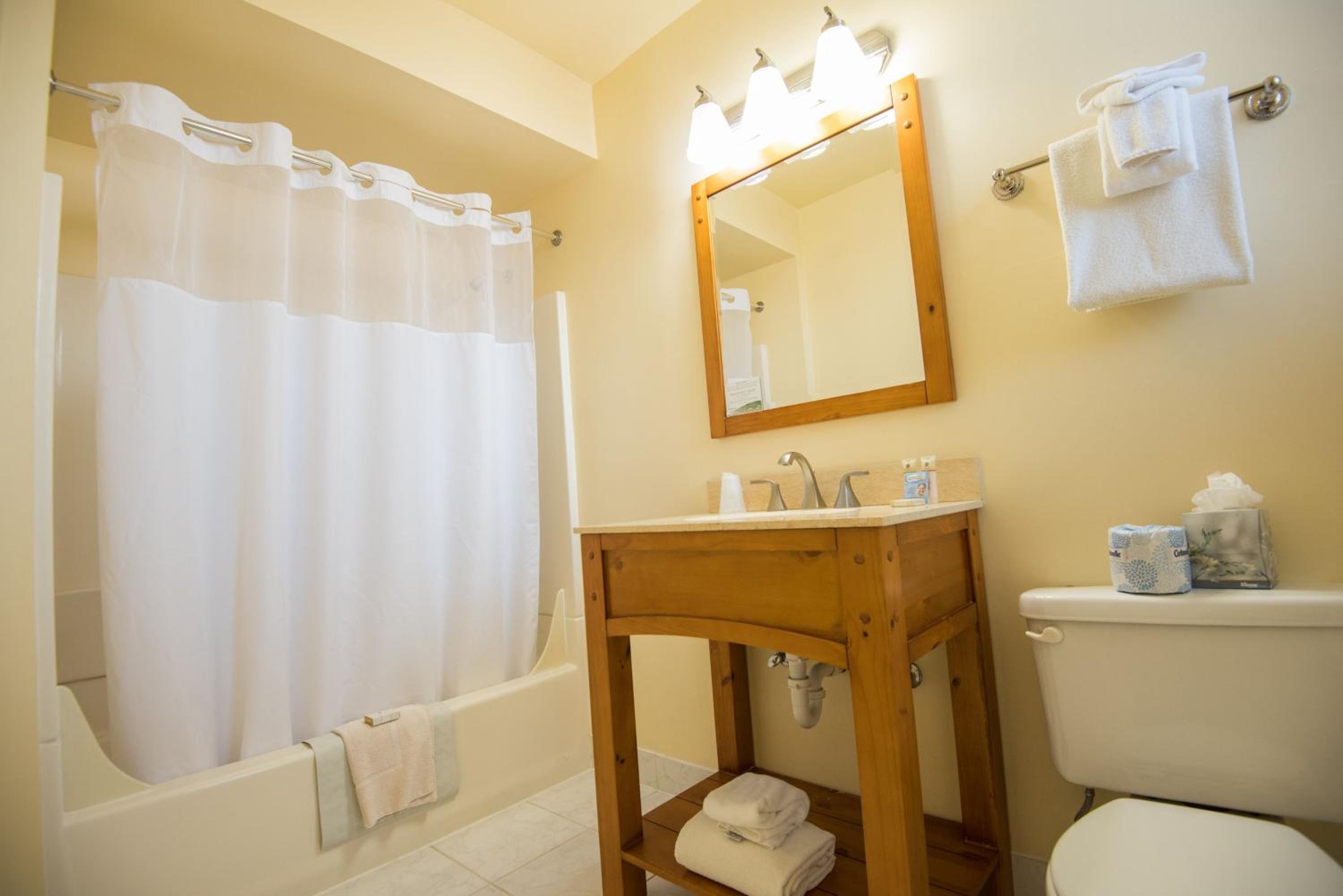 Deluxe Queen Room photo 2