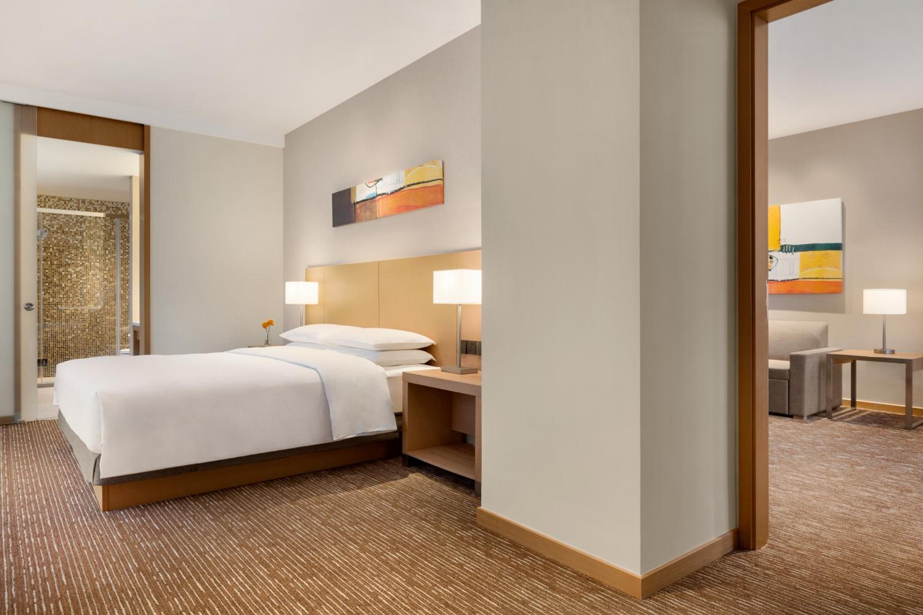 King Suite with Sofa Bed - Photo 4