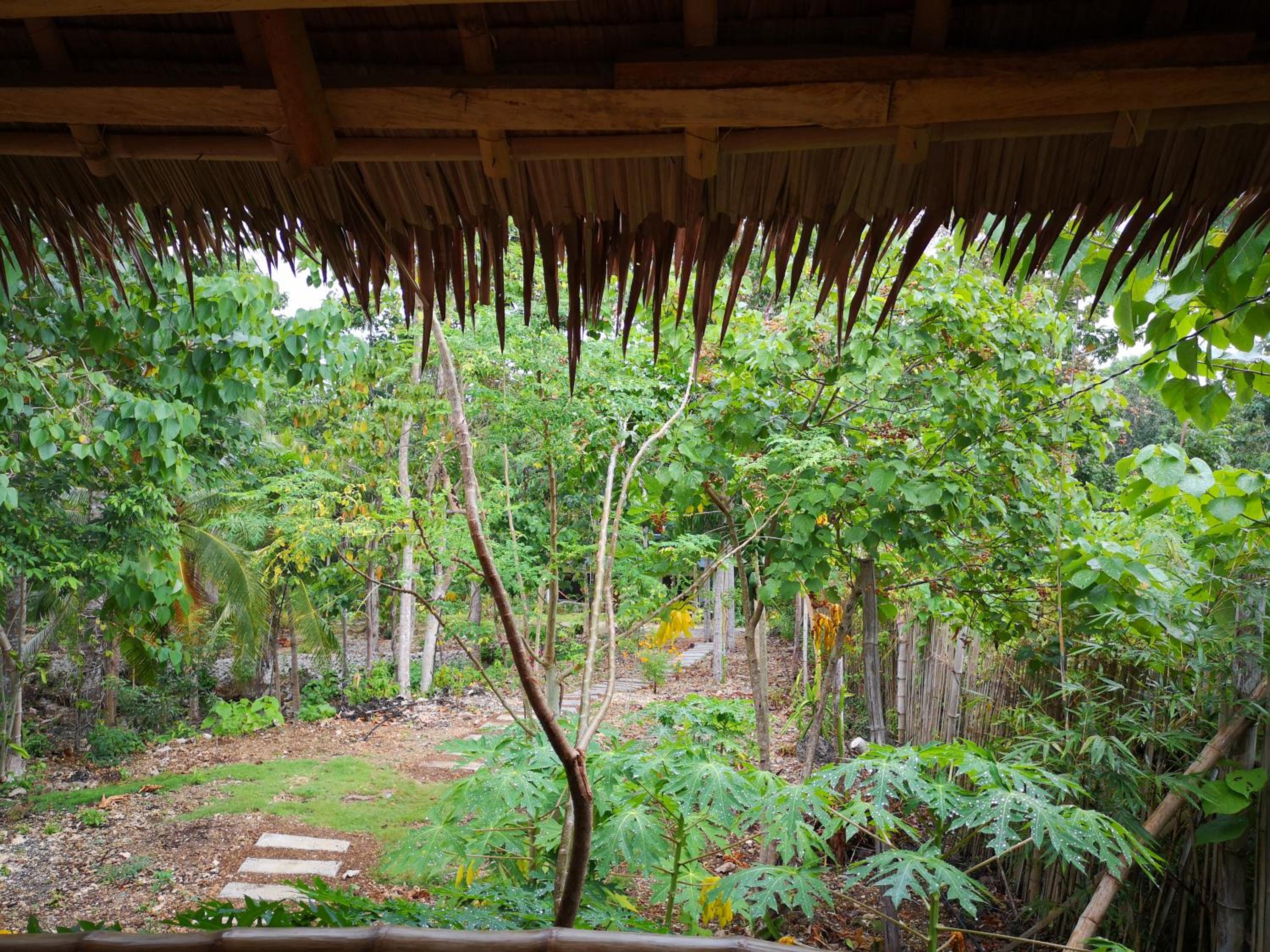Bungalow with Garden View - Photo 4