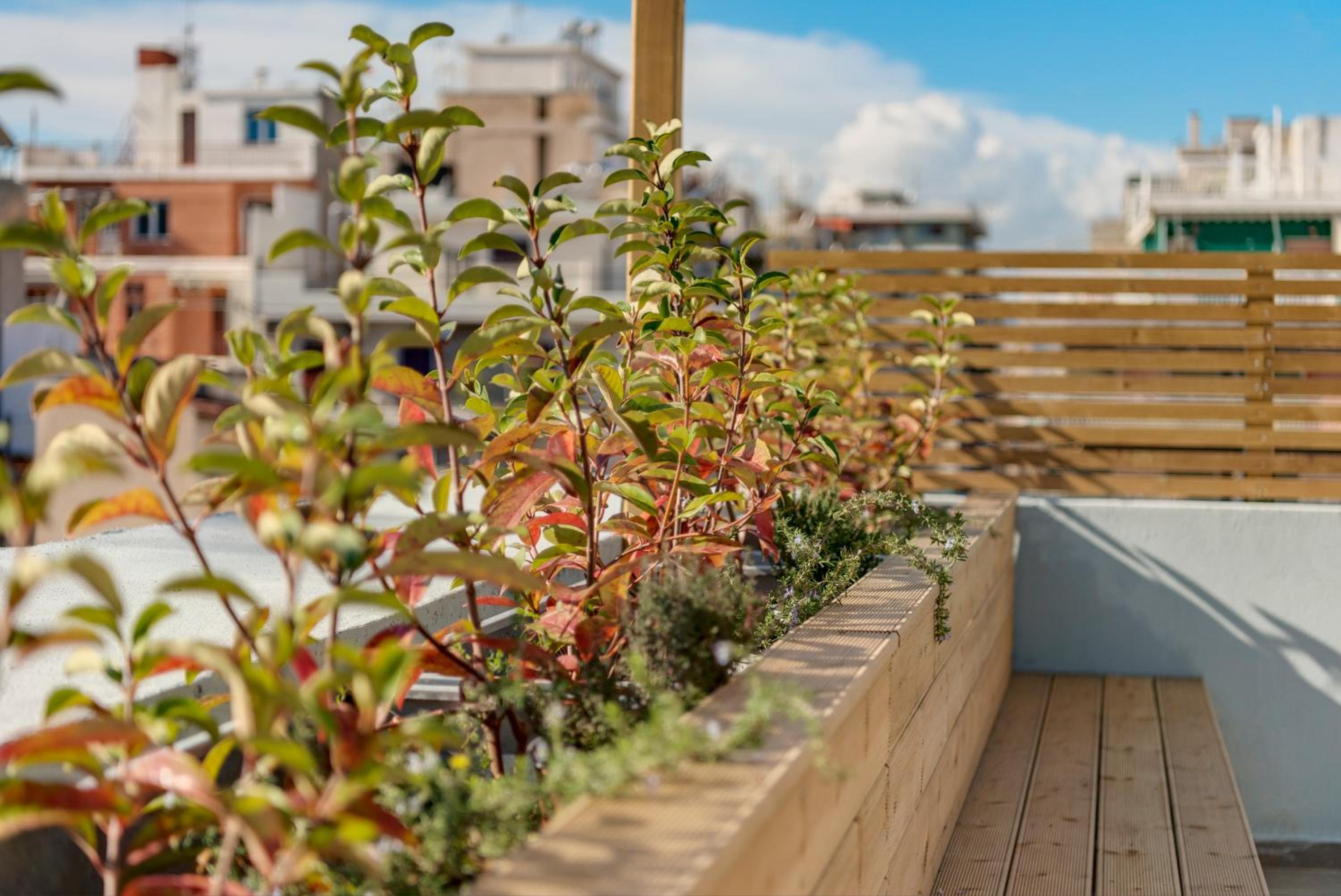 Apartment with Terrace - Photo 5