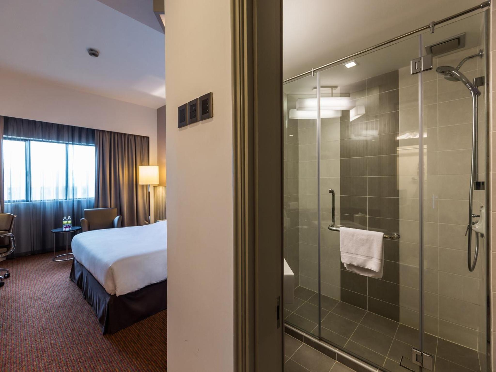 Deluxe Double or Twin Room - Photo 8