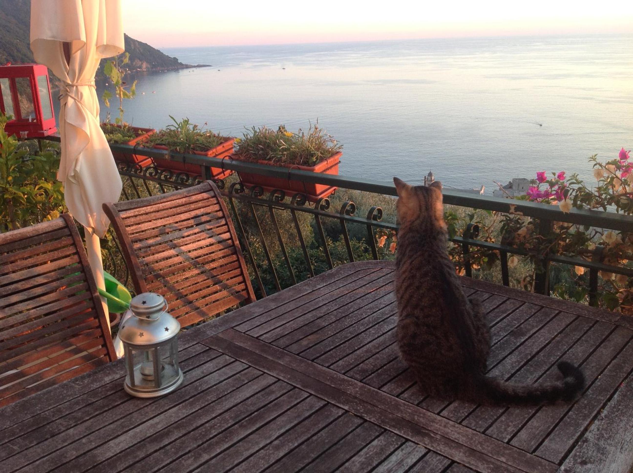 Deluxe Double Room with Sea View - Photo 6
