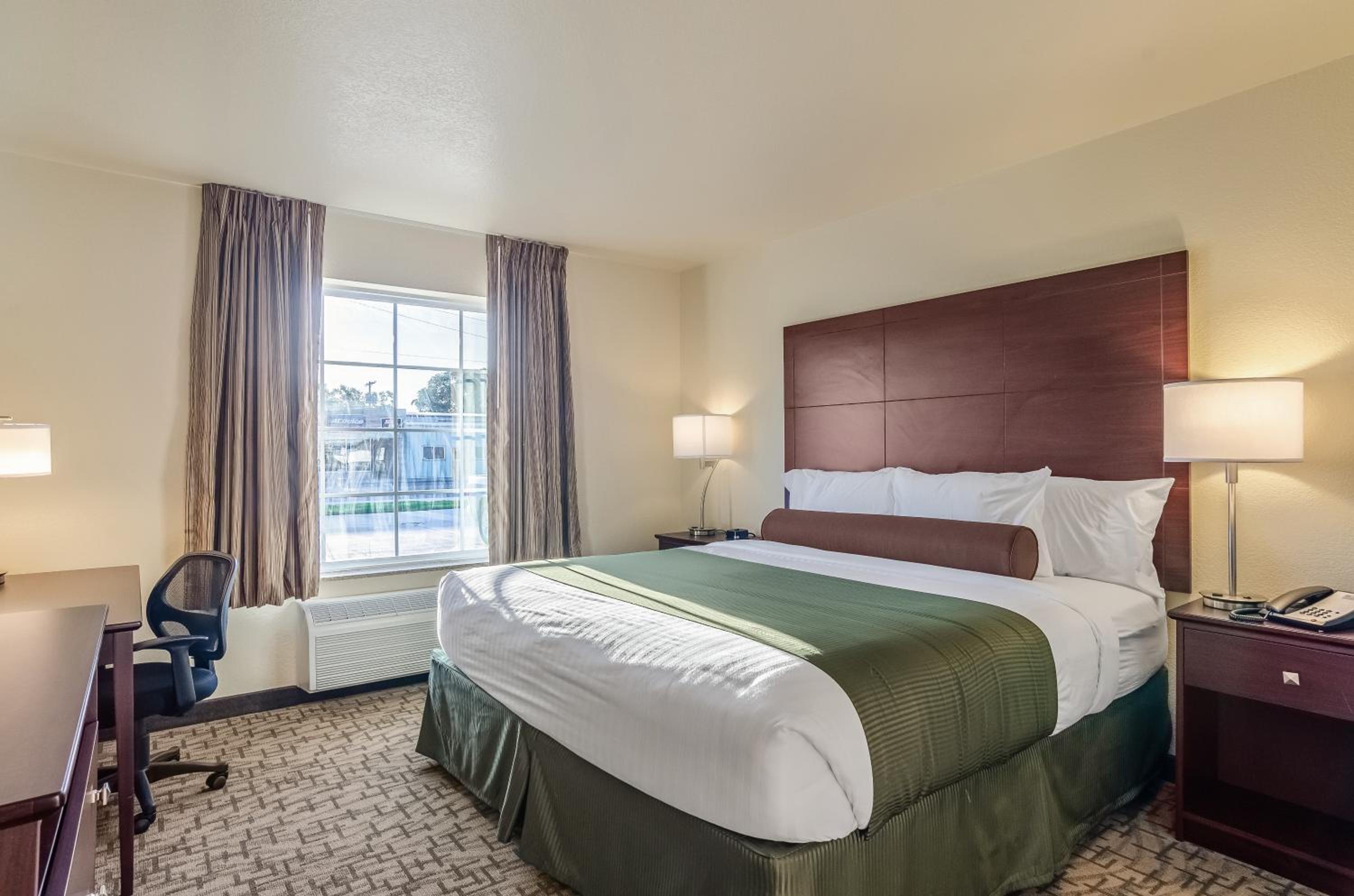 King Room photo 1