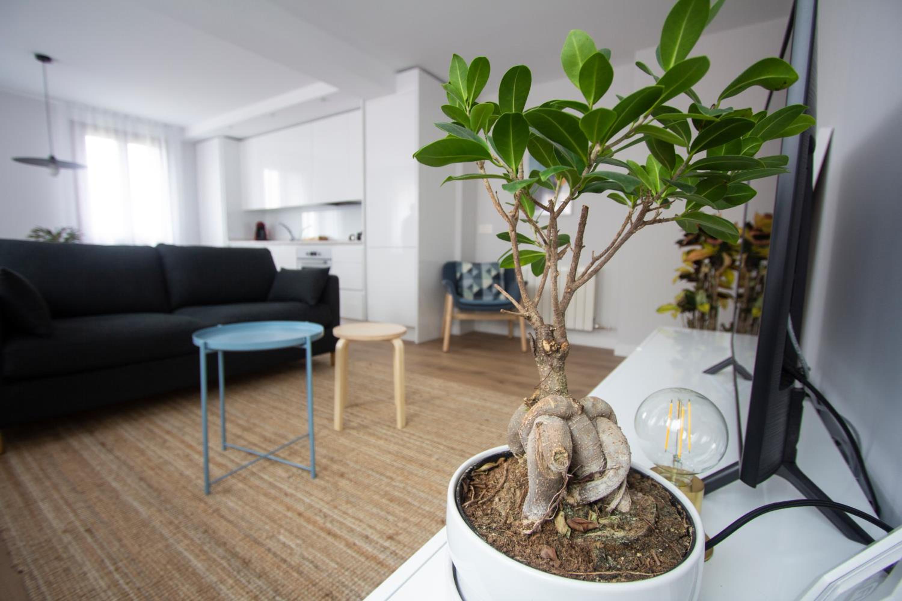 Apartamento de una habitación
