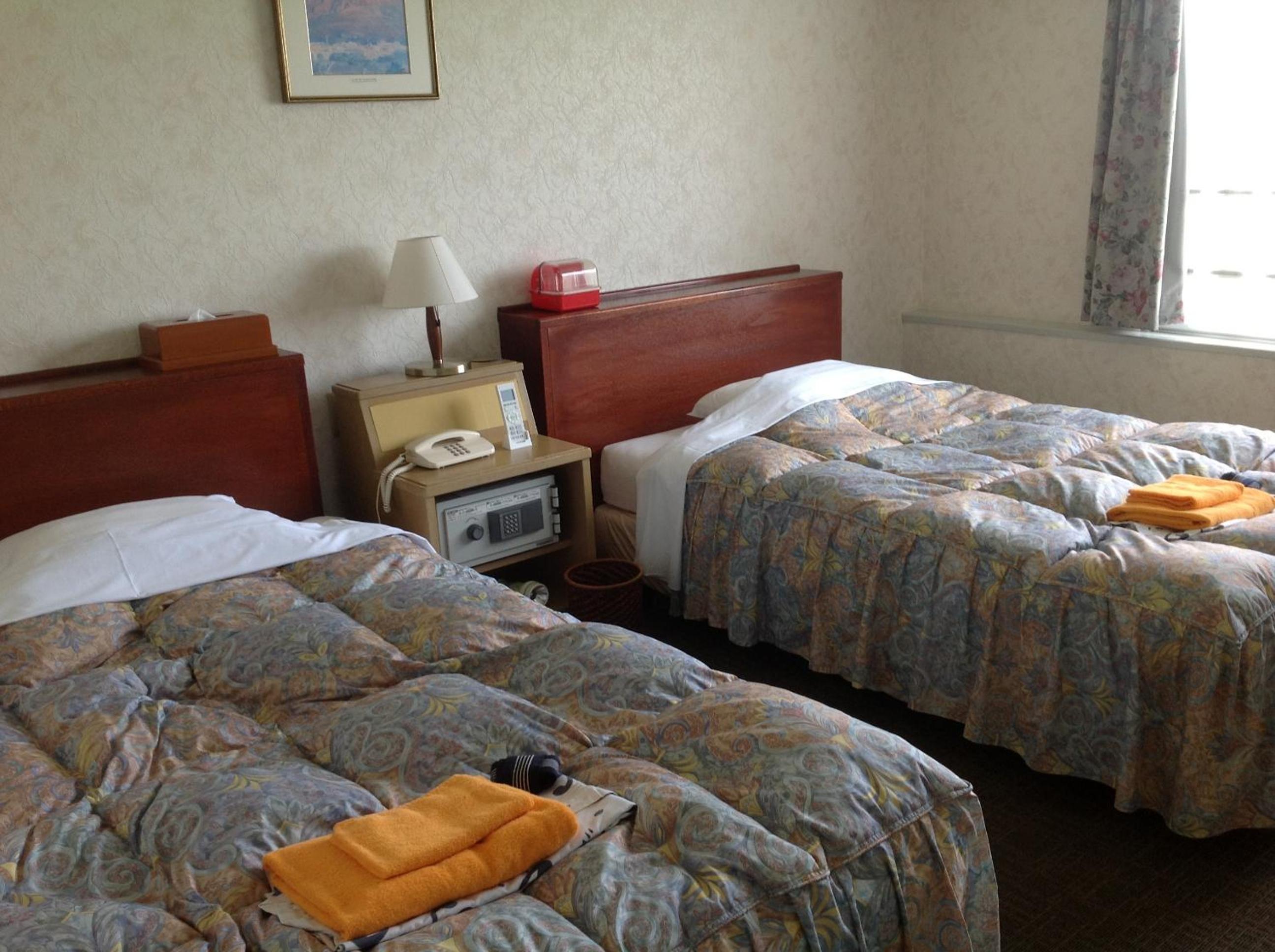Twin Room with Mountain View photo 2