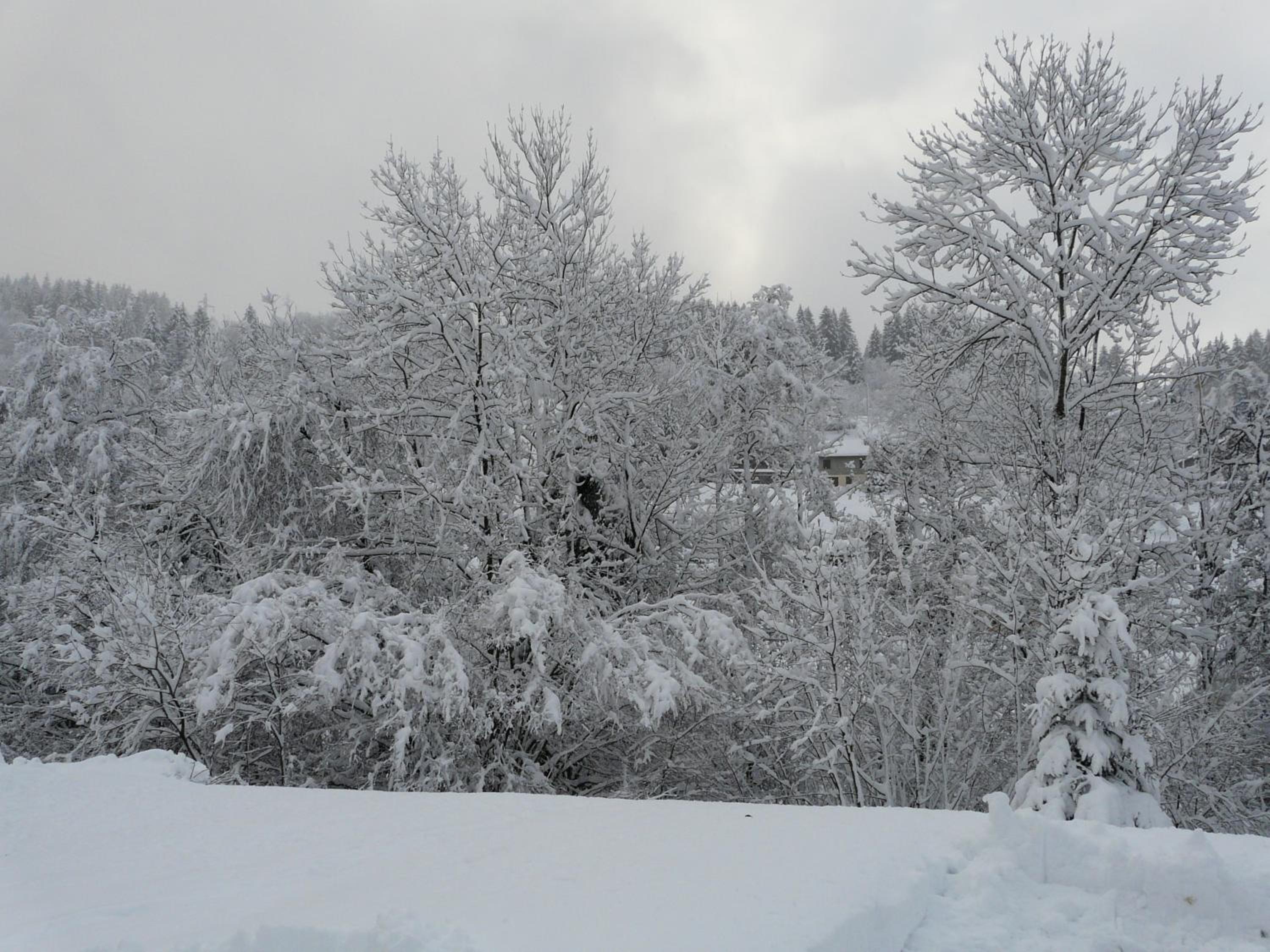 Chalet photo 3