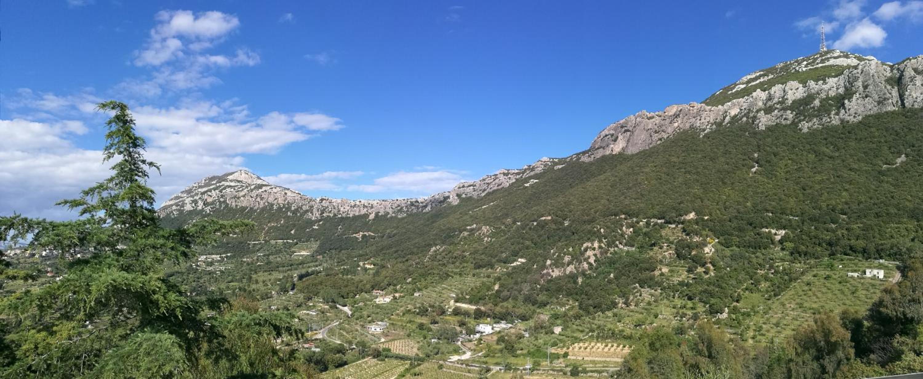 Double Room with Mountain View photo 3